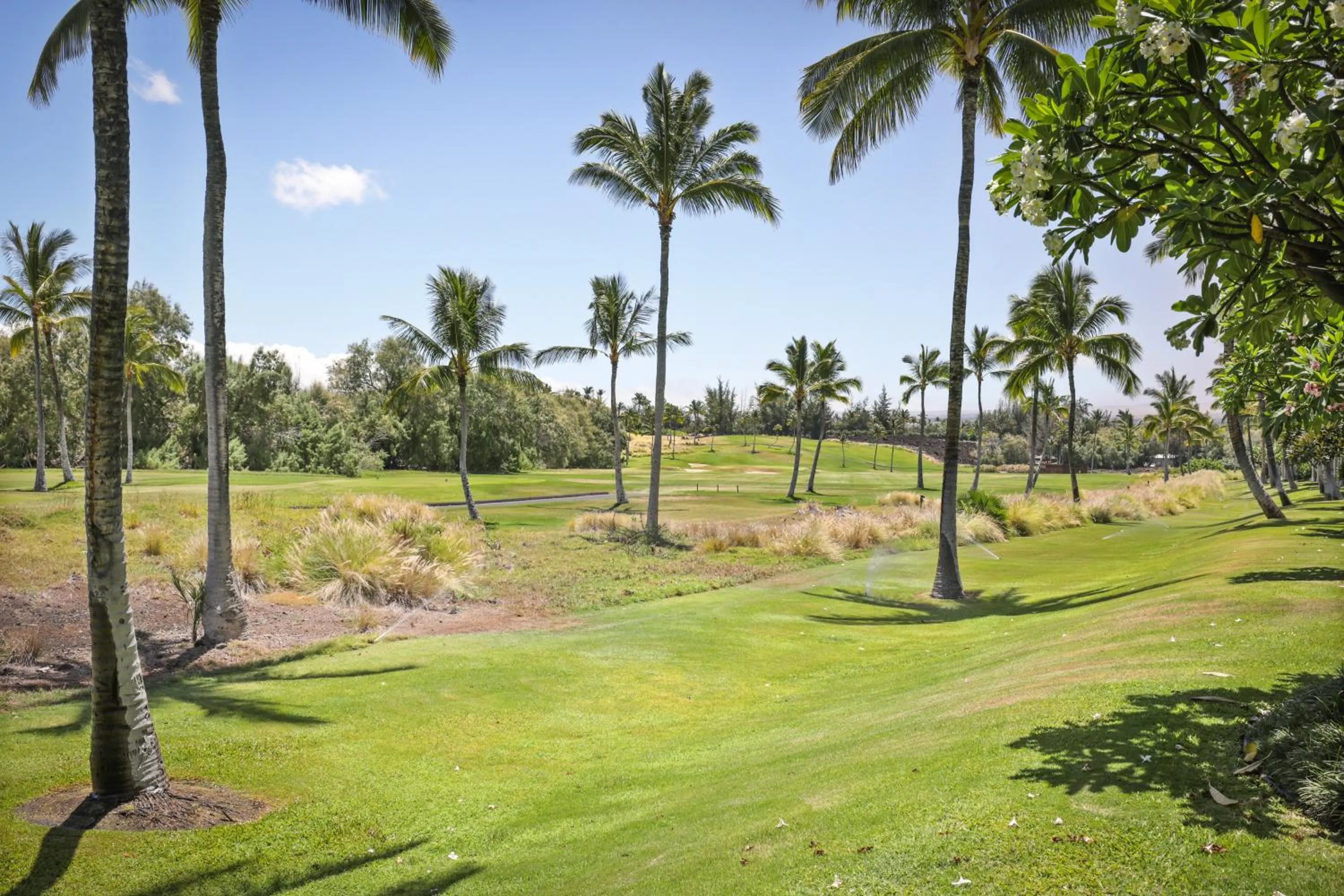 Golfcourse in Fairway Villas Waikoloa by OUTRIGGER