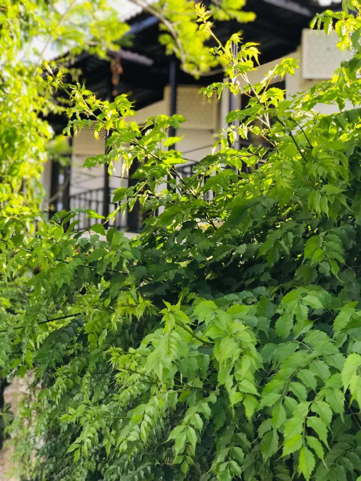 Property building in Nehir Dalyan Boutique Otel