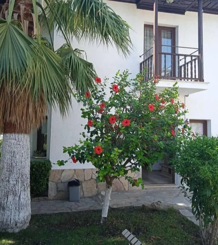 Nehir Dalyan Boutique Otel