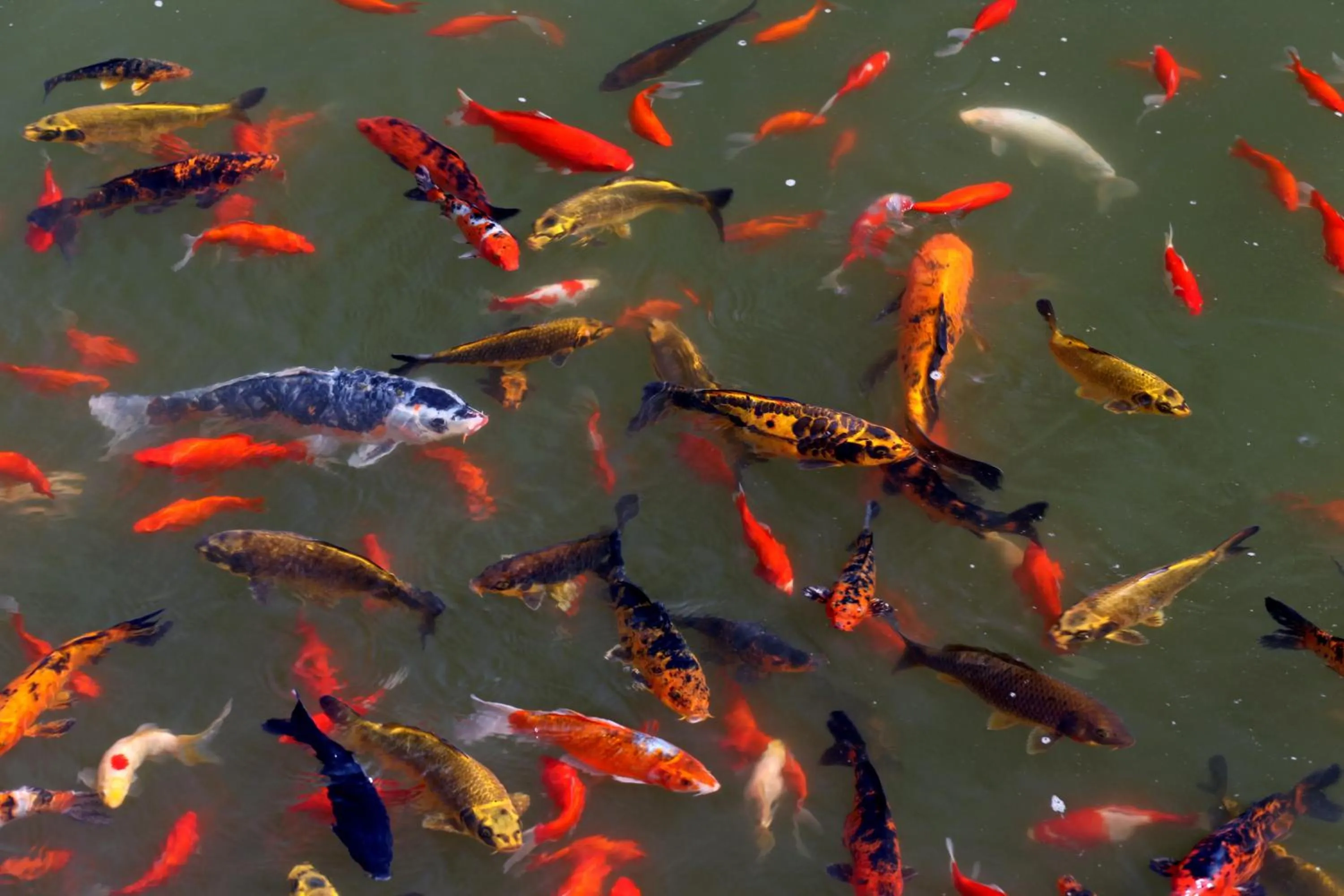 Decorative detail in Berlin Resort