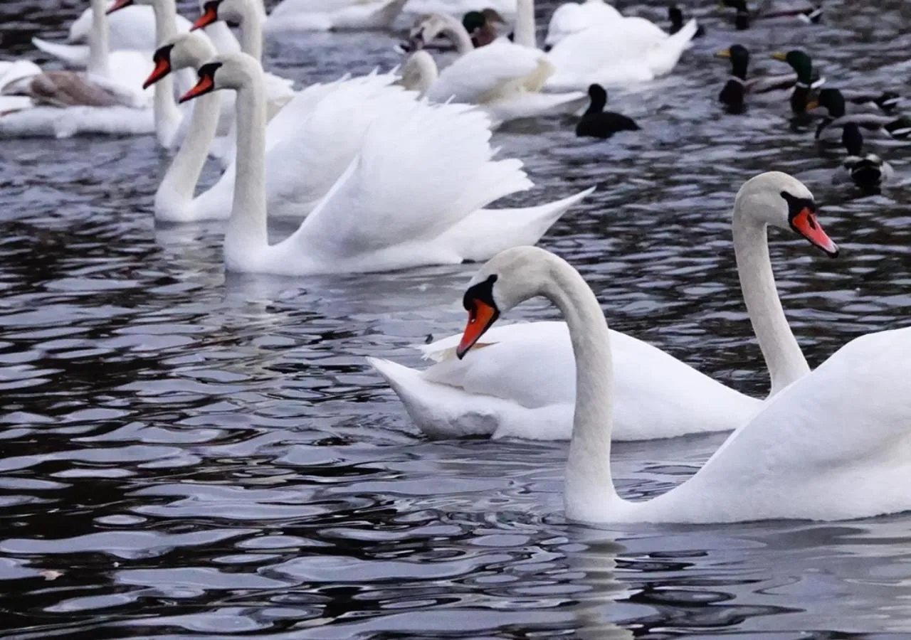 Nearby landmark in Platinum Ostróda