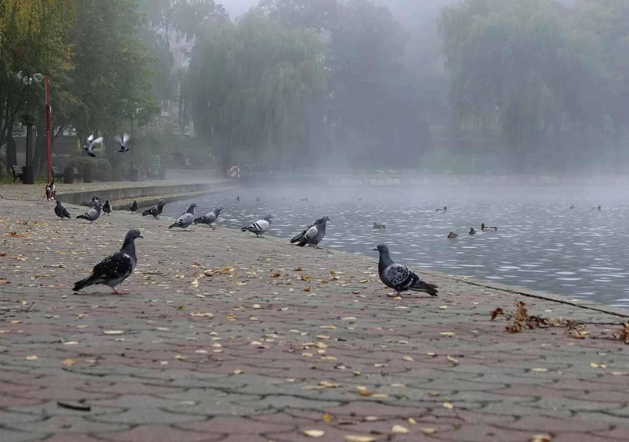 Nearby landmark in Platinum Ostróda