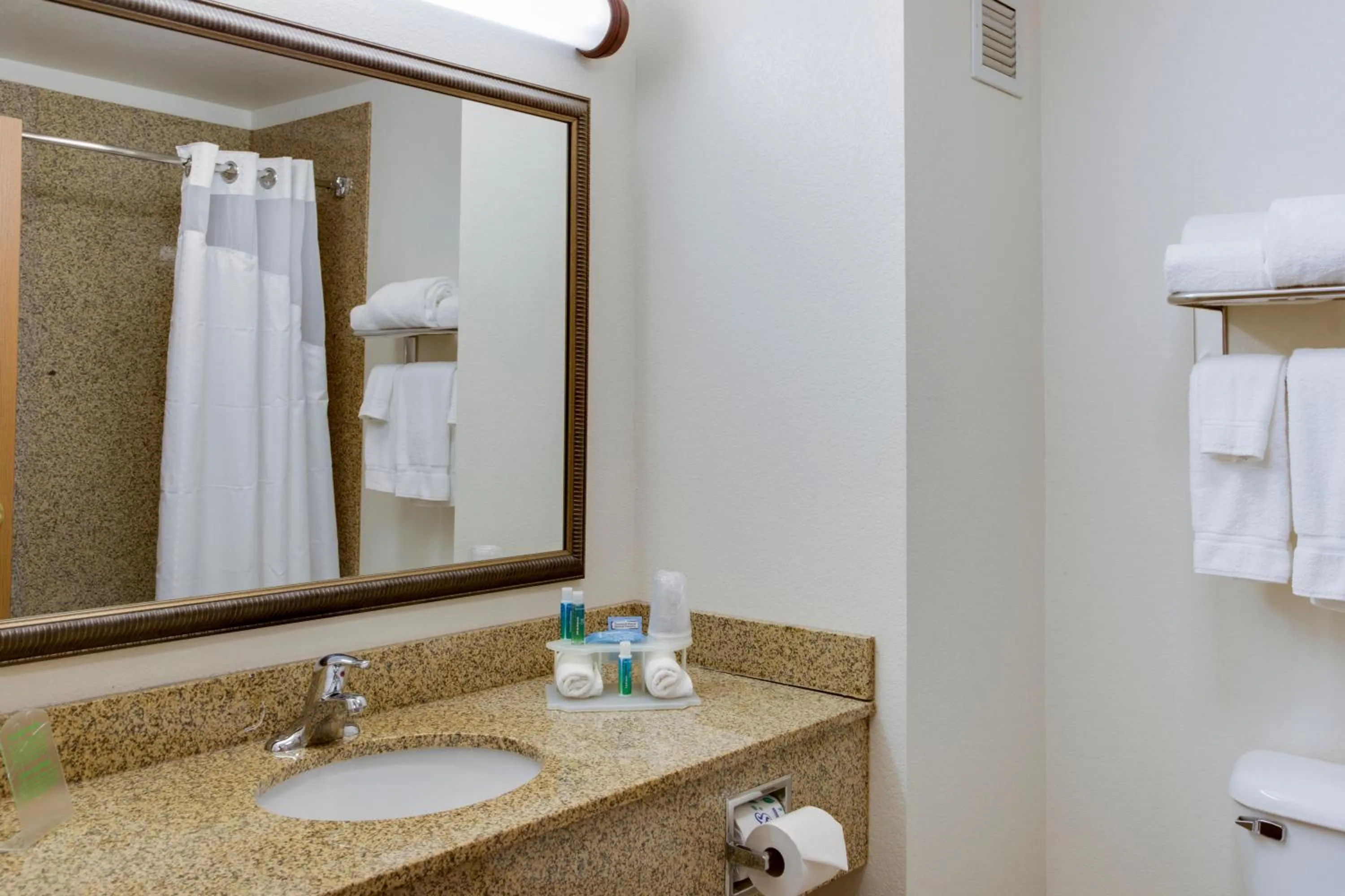 Bathroom in Holiday Inn Express & Suites Jacksonville by IHG