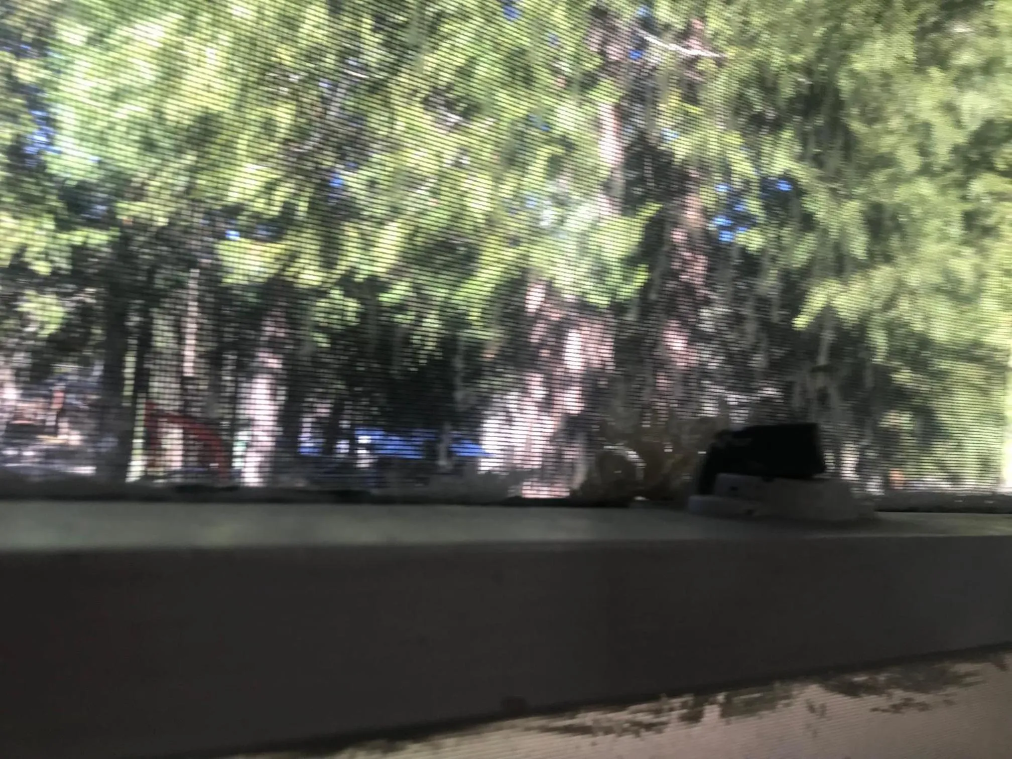 Natural landscape in Dunsmuir Lodge