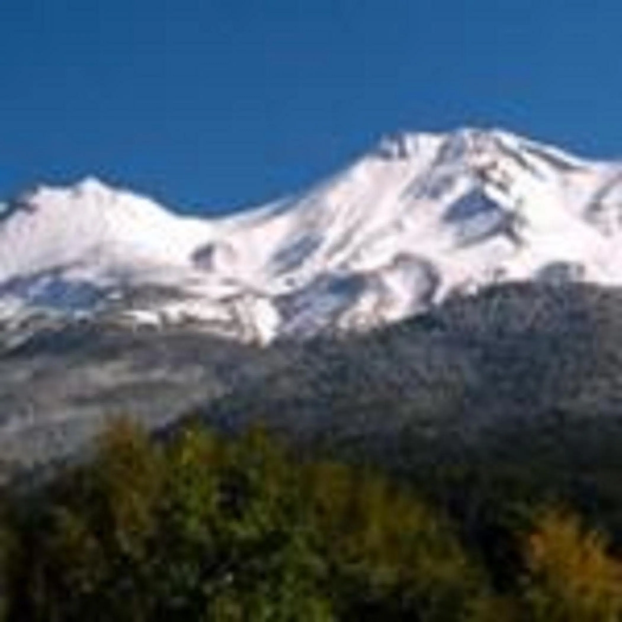 Natural landscape in Dunsmuir Lodge
