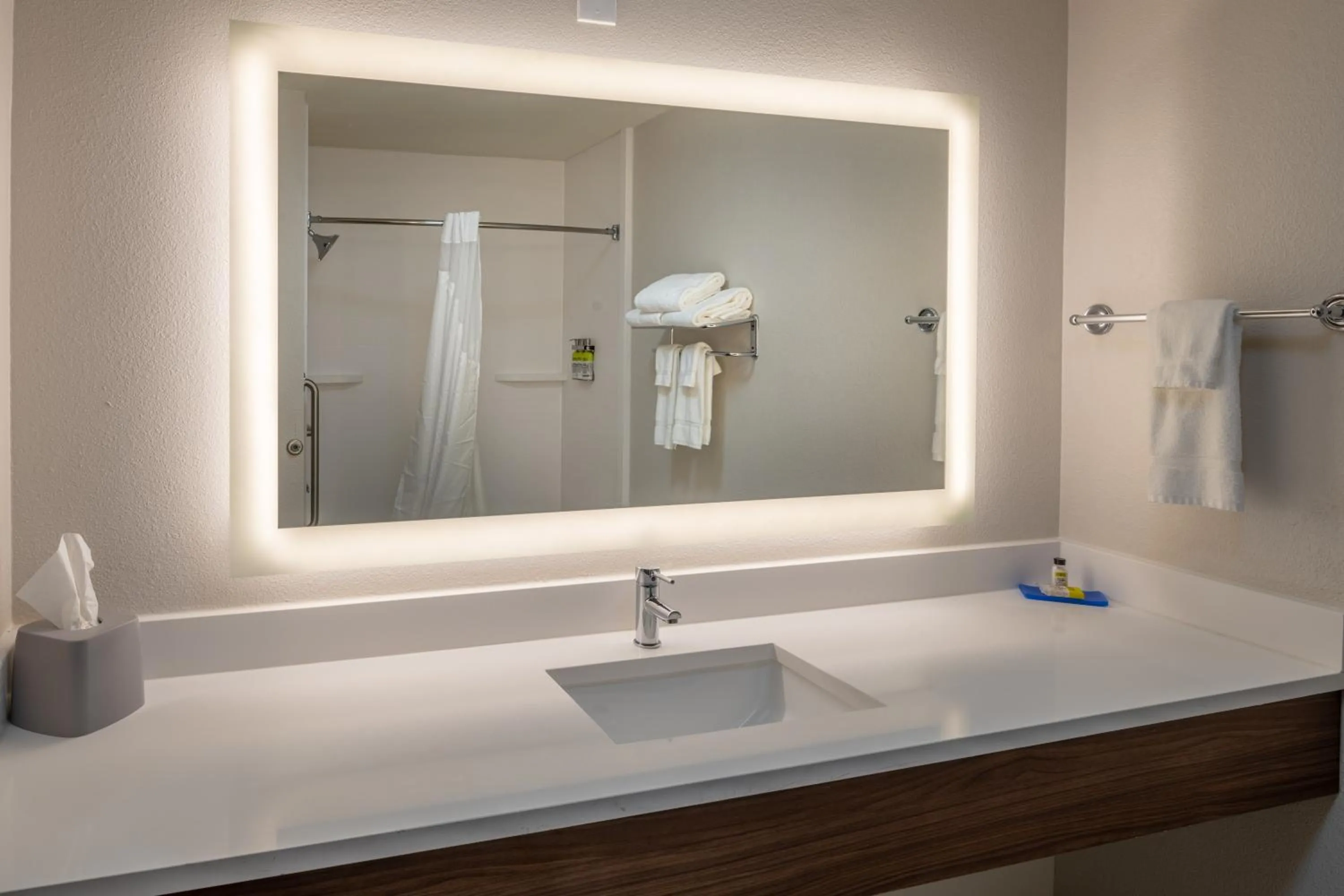 Bathroom in Holiday Inn Express & Suites N Waco Area - West by IHG