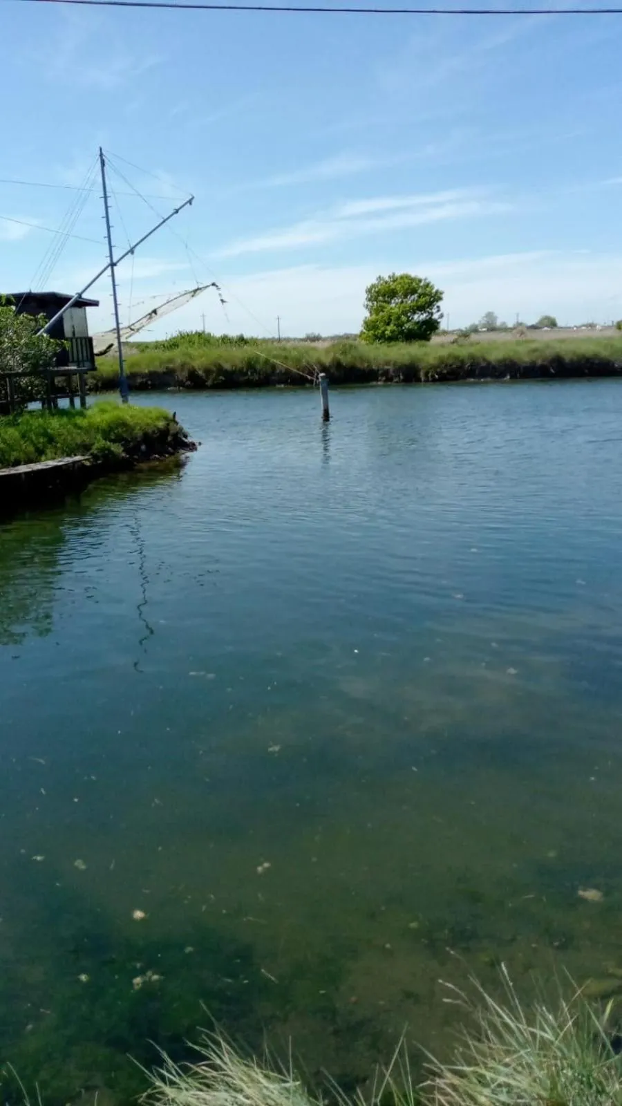 Natural landscape in HOTEL OTELLO