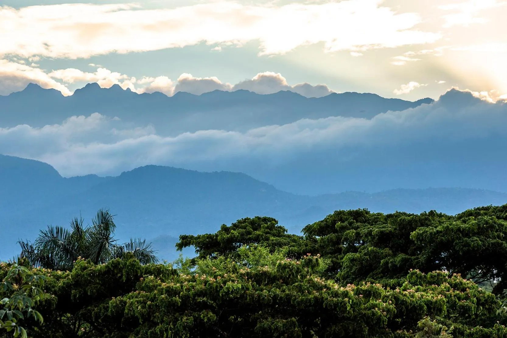 Natural landscape in Hotel Pance 122 Wellness Spa