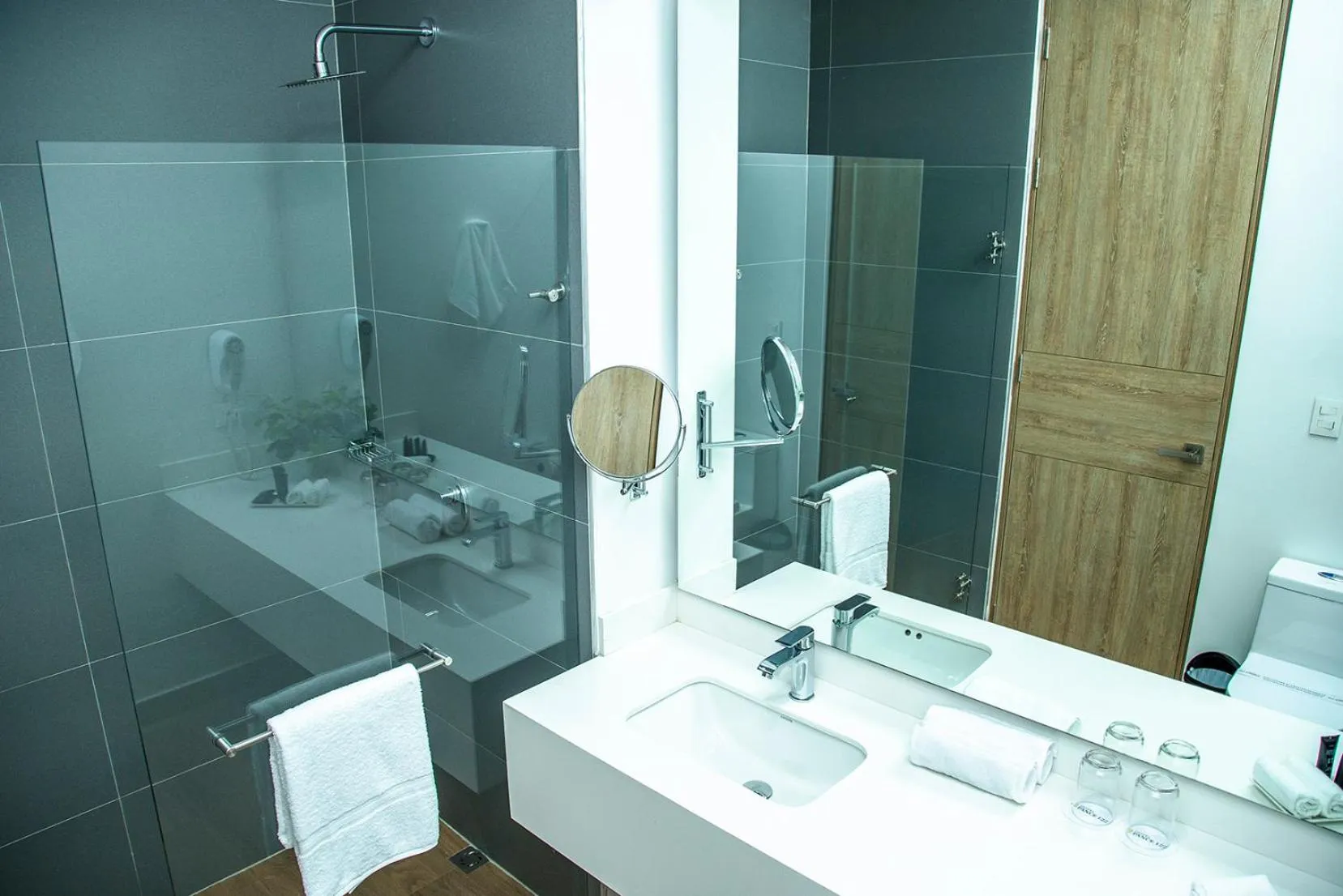Shower in Hotel Pance 122 Wellness Spa
