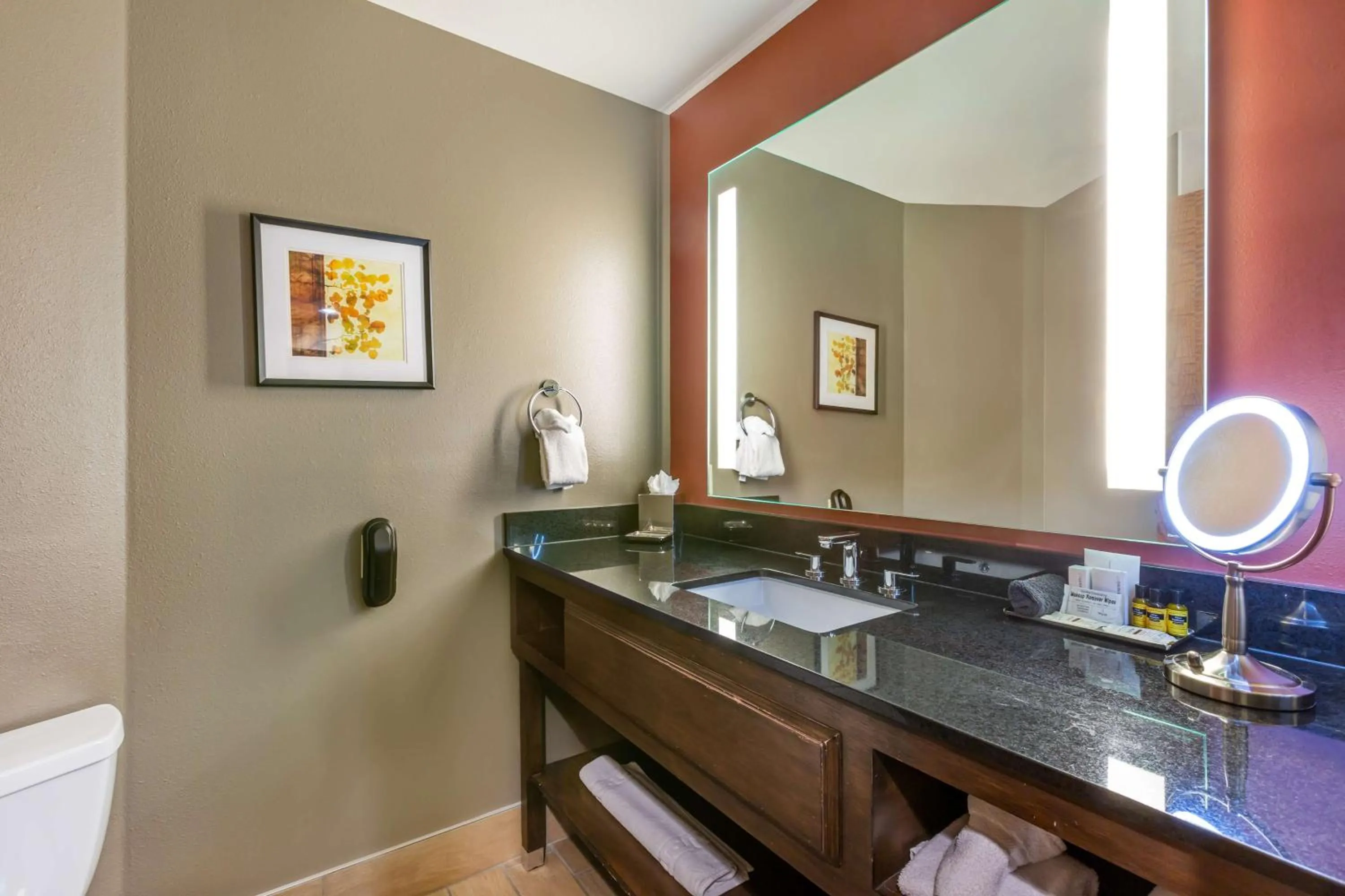 Bathroom in Best Western Premier Ivy Inn & Suites