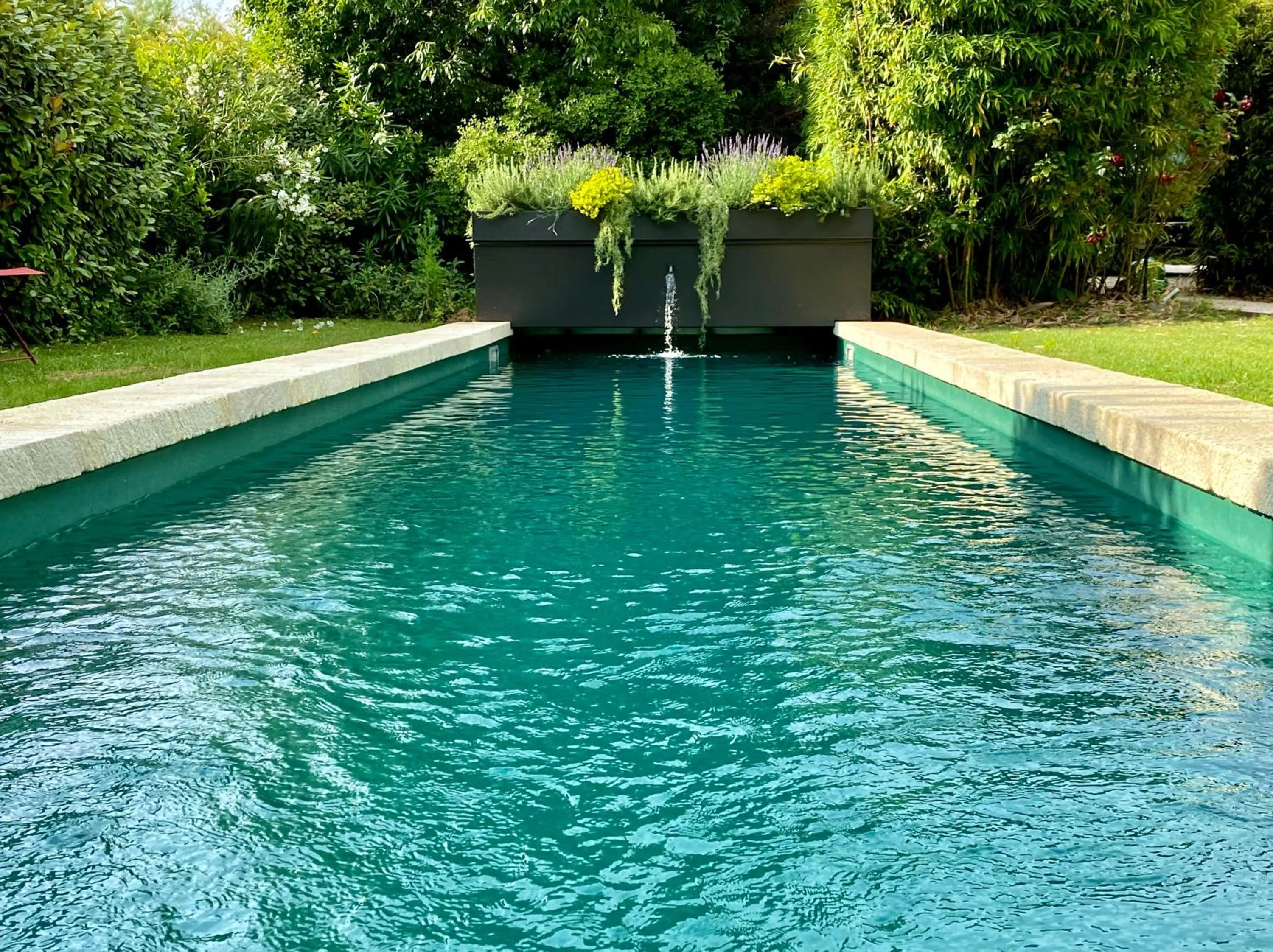 Swimming pool in Provence Km28