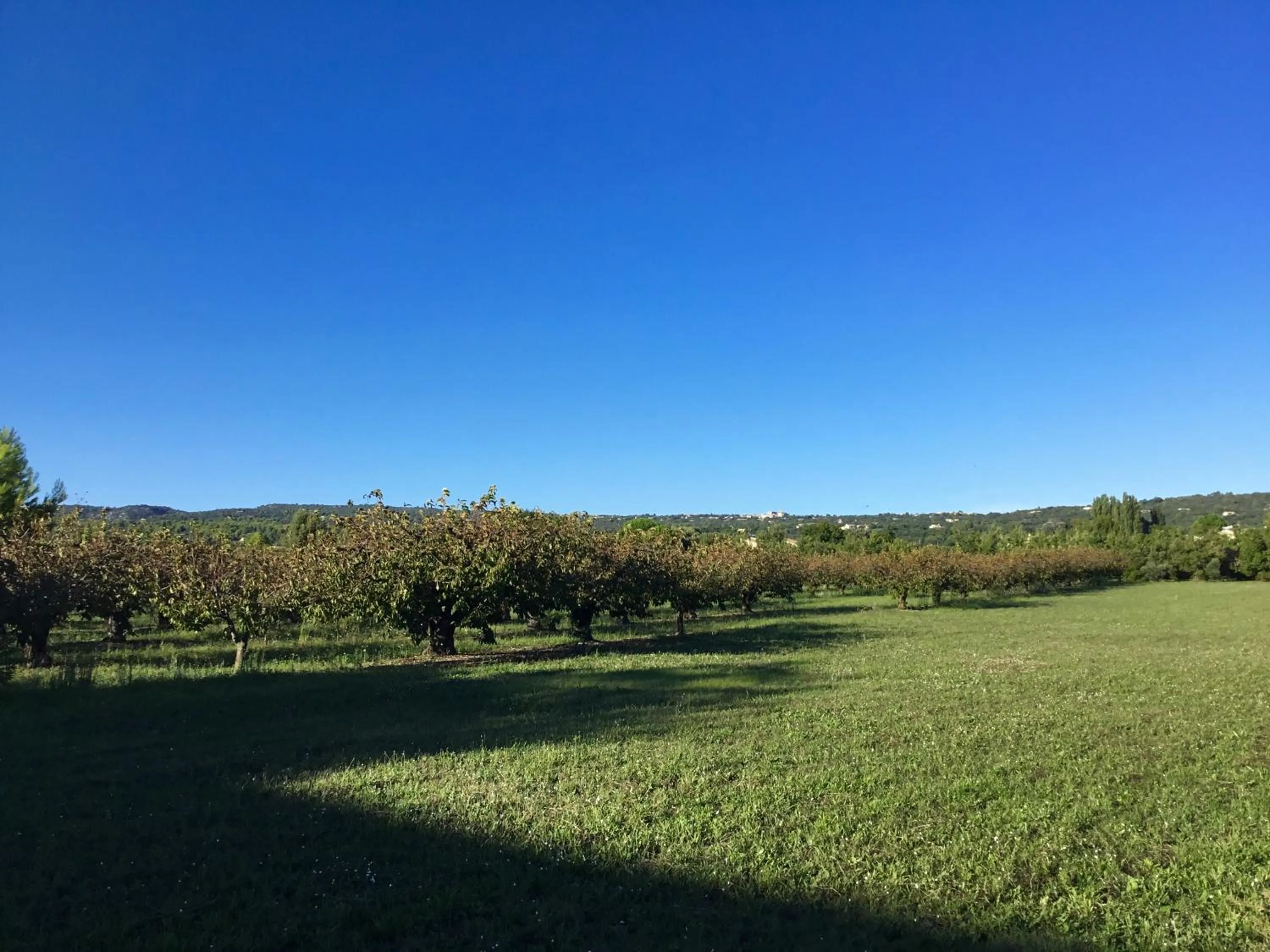View (from property/room) in Provence Km28