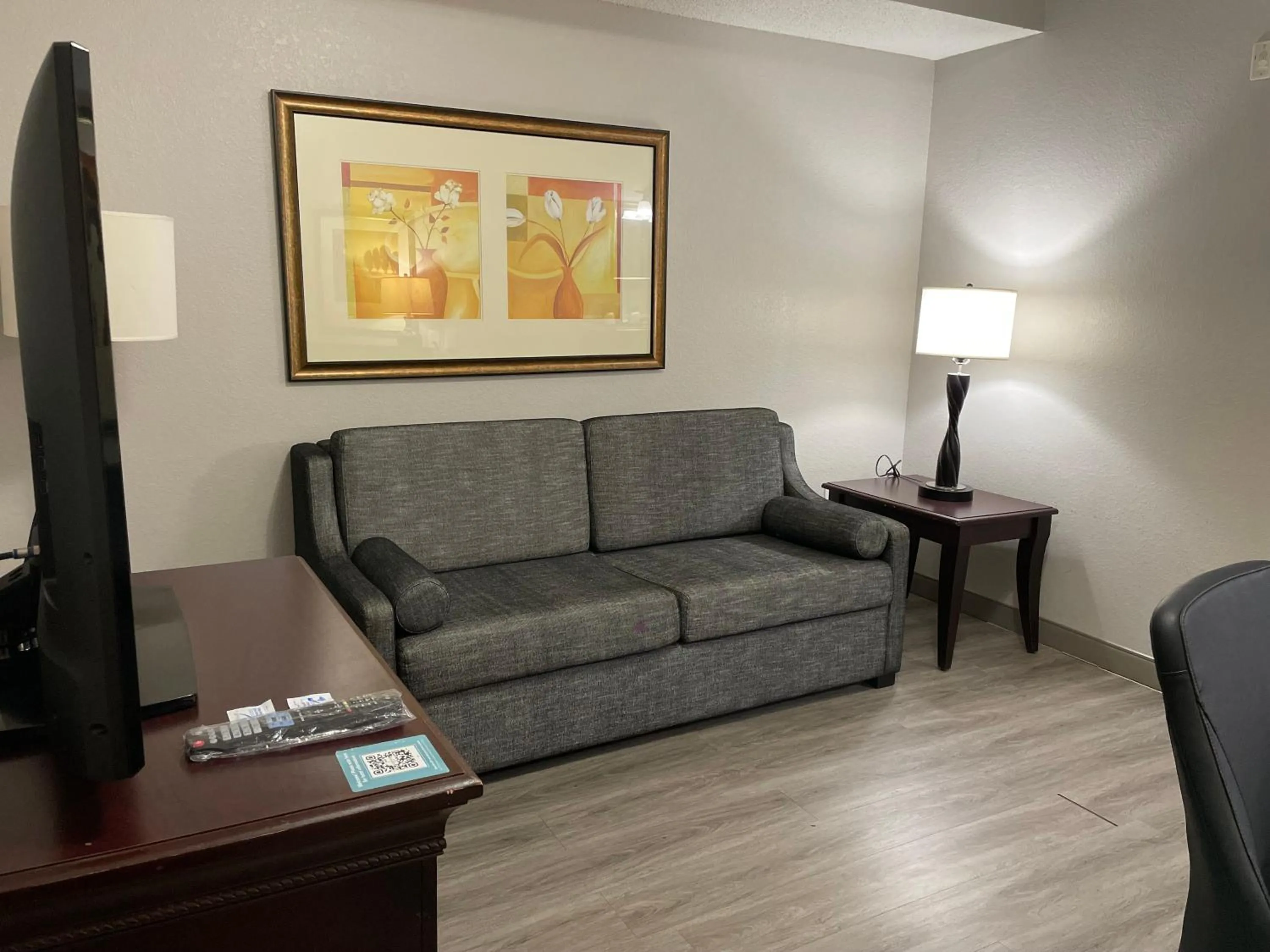 Living room in Country Inn & Suites by Radisson, Albany, GA