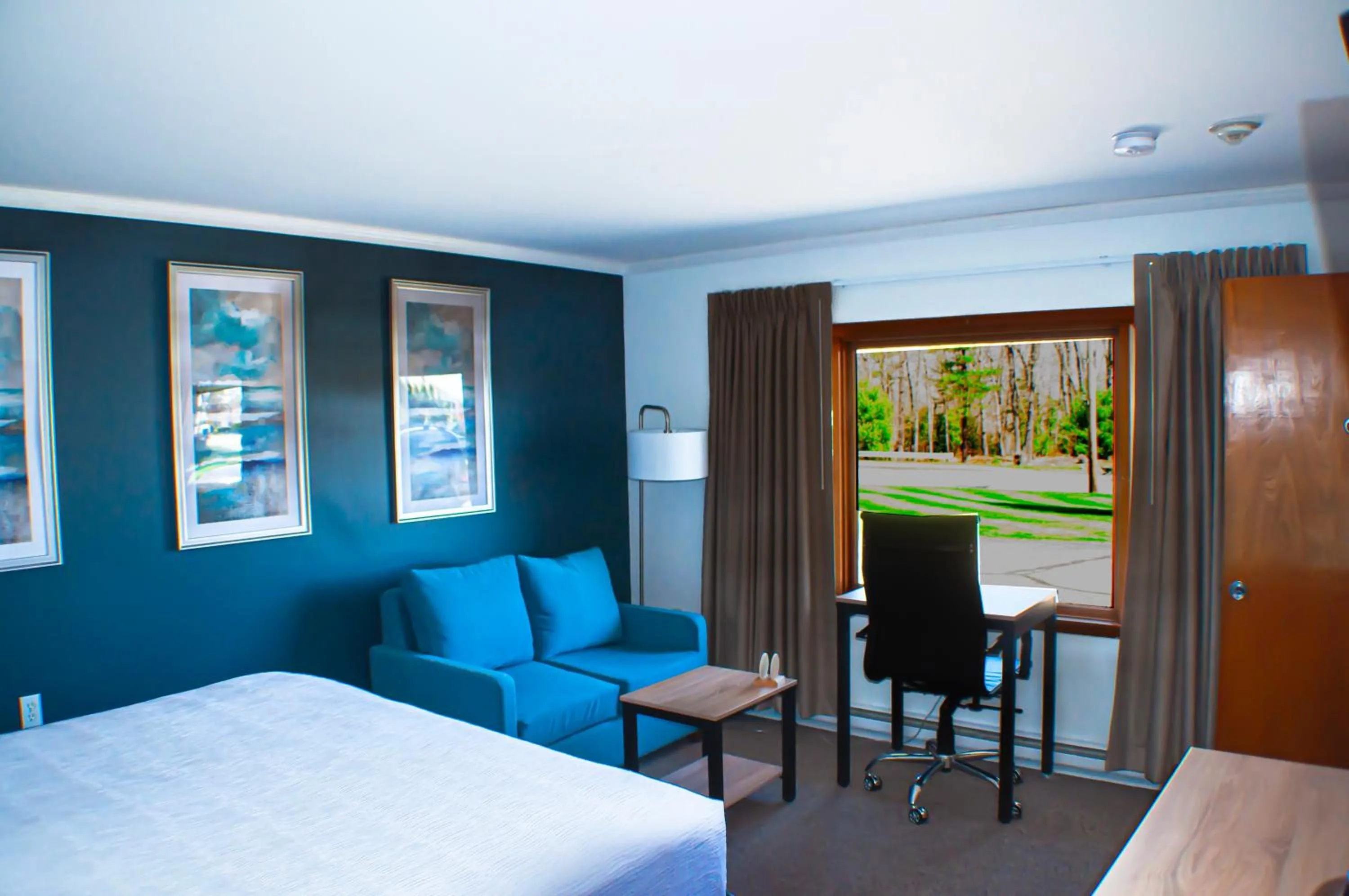 Bed in Towne Lyne Motel