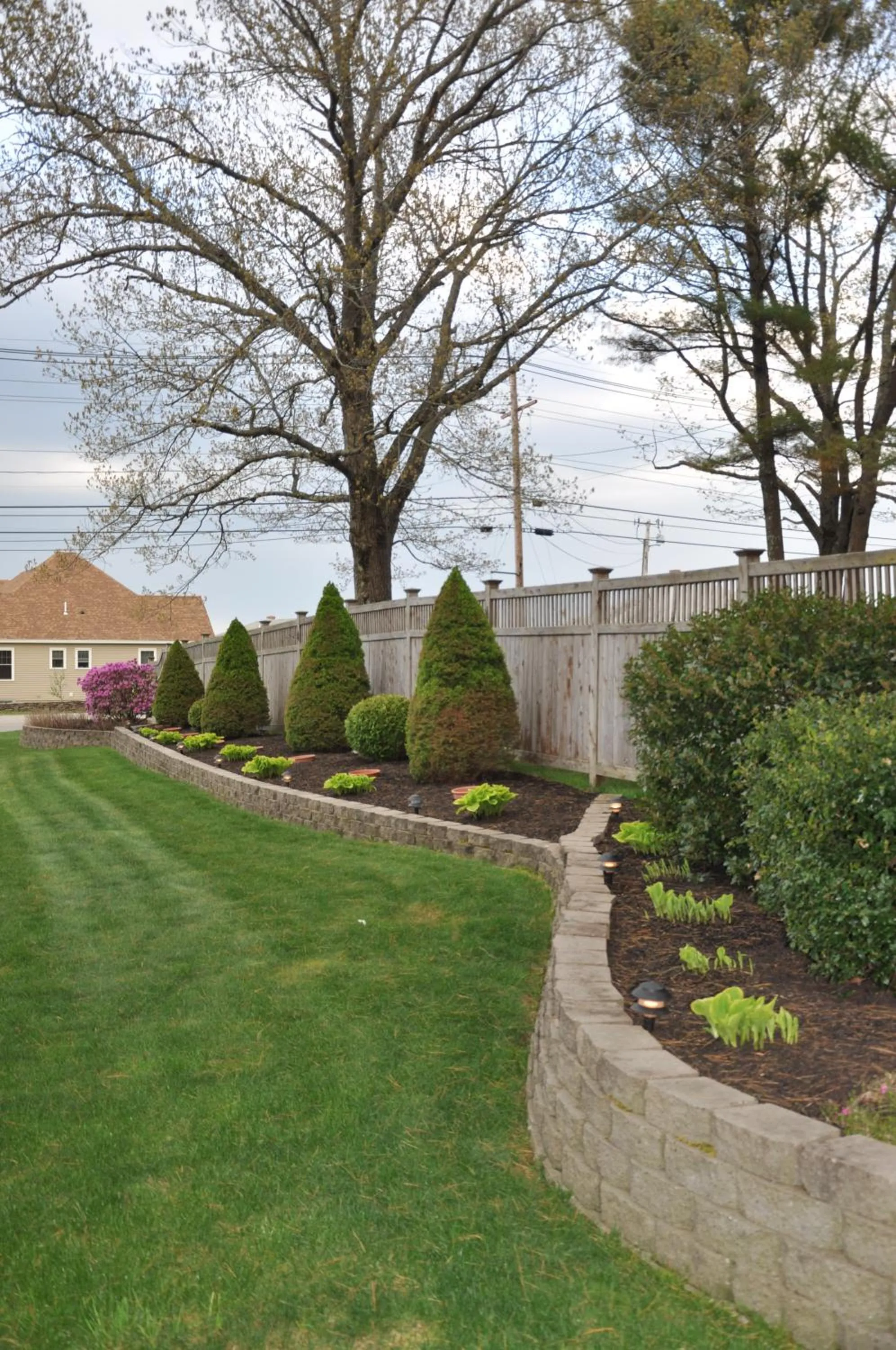 Natural landscape in Towne Lyne Motel