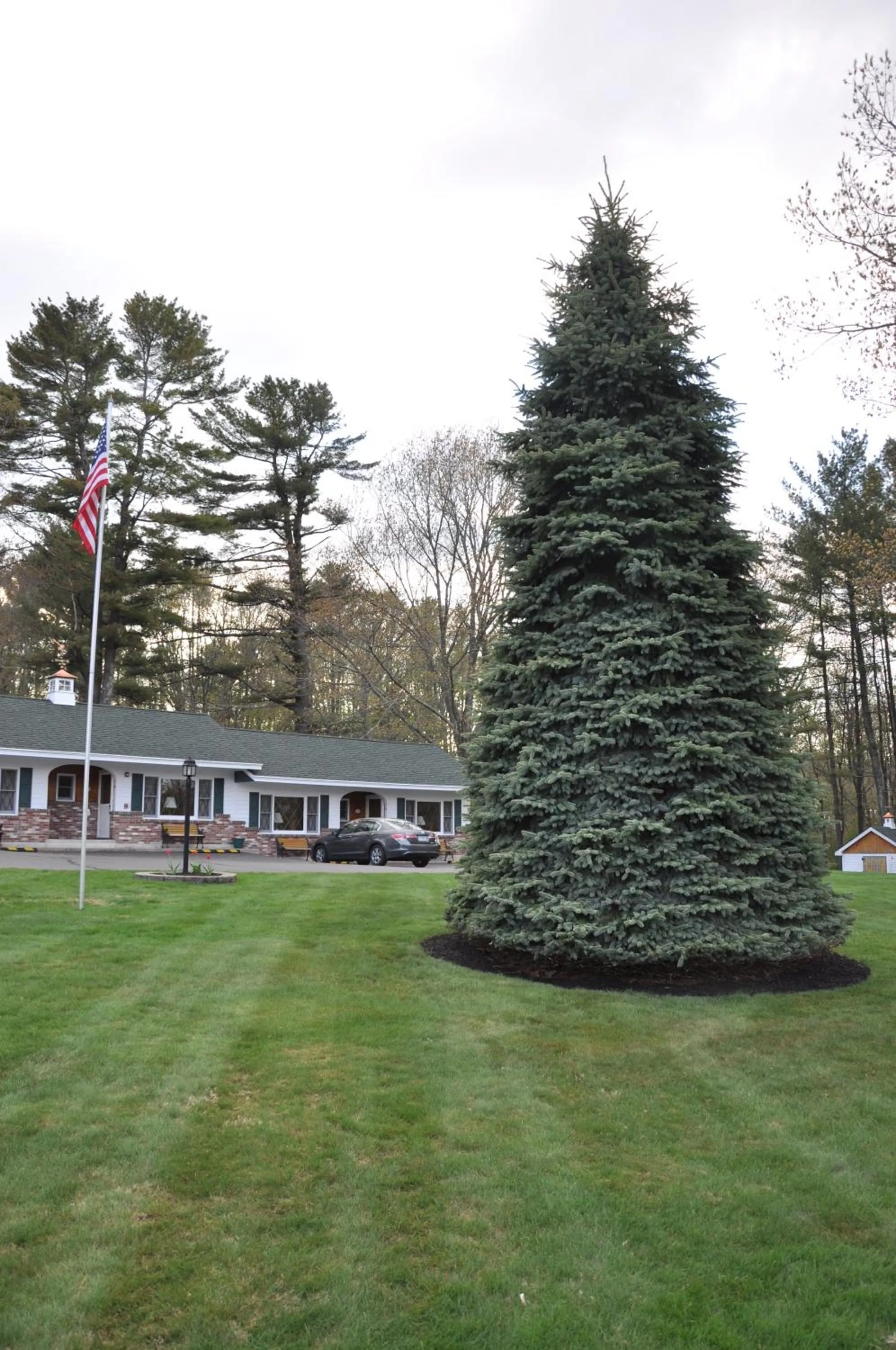 Property building in Towne Lyne Motel