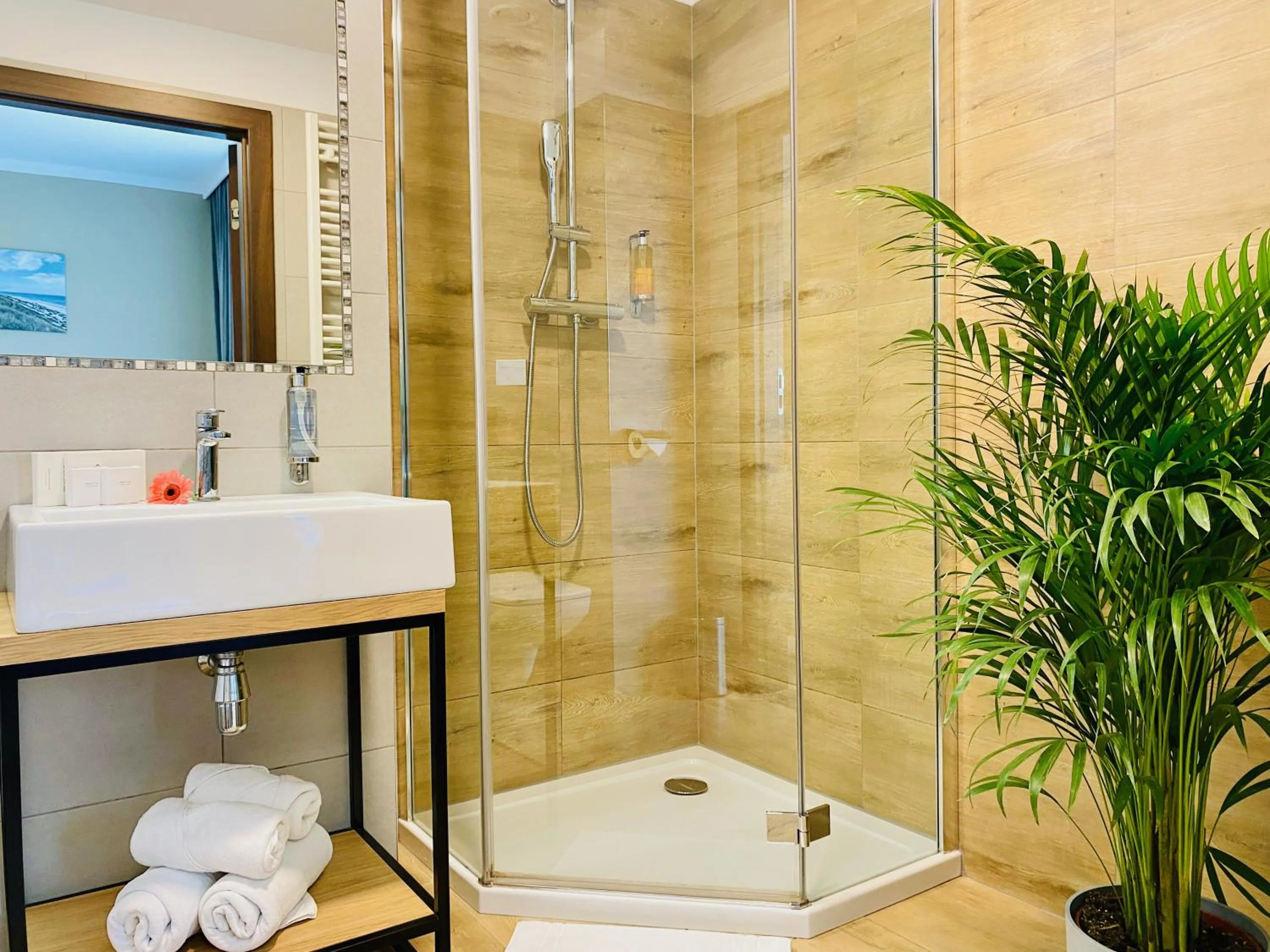 Shower in Hotel CONRAD Comfort