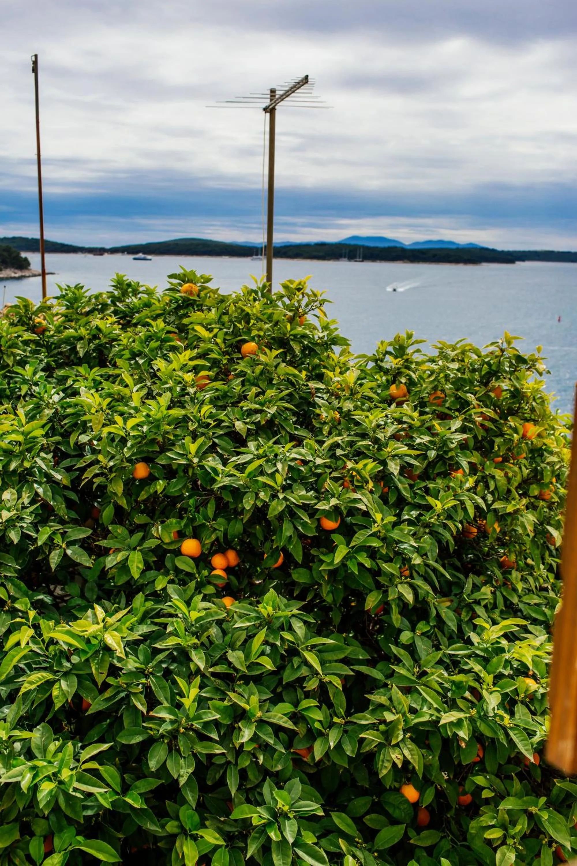 Heritage Hotel Dea Hvar