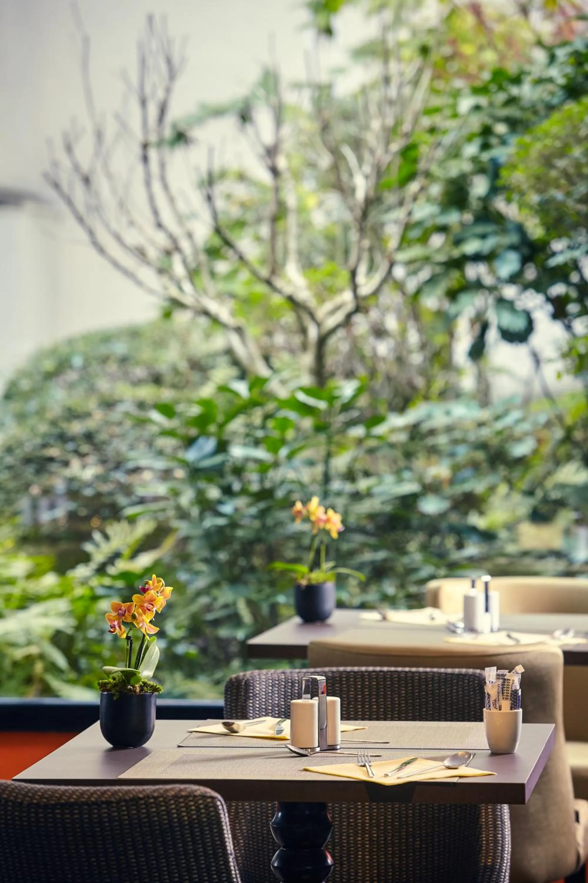 Restaurant/places to eat in Mercure Tour Eiffel Grenelle