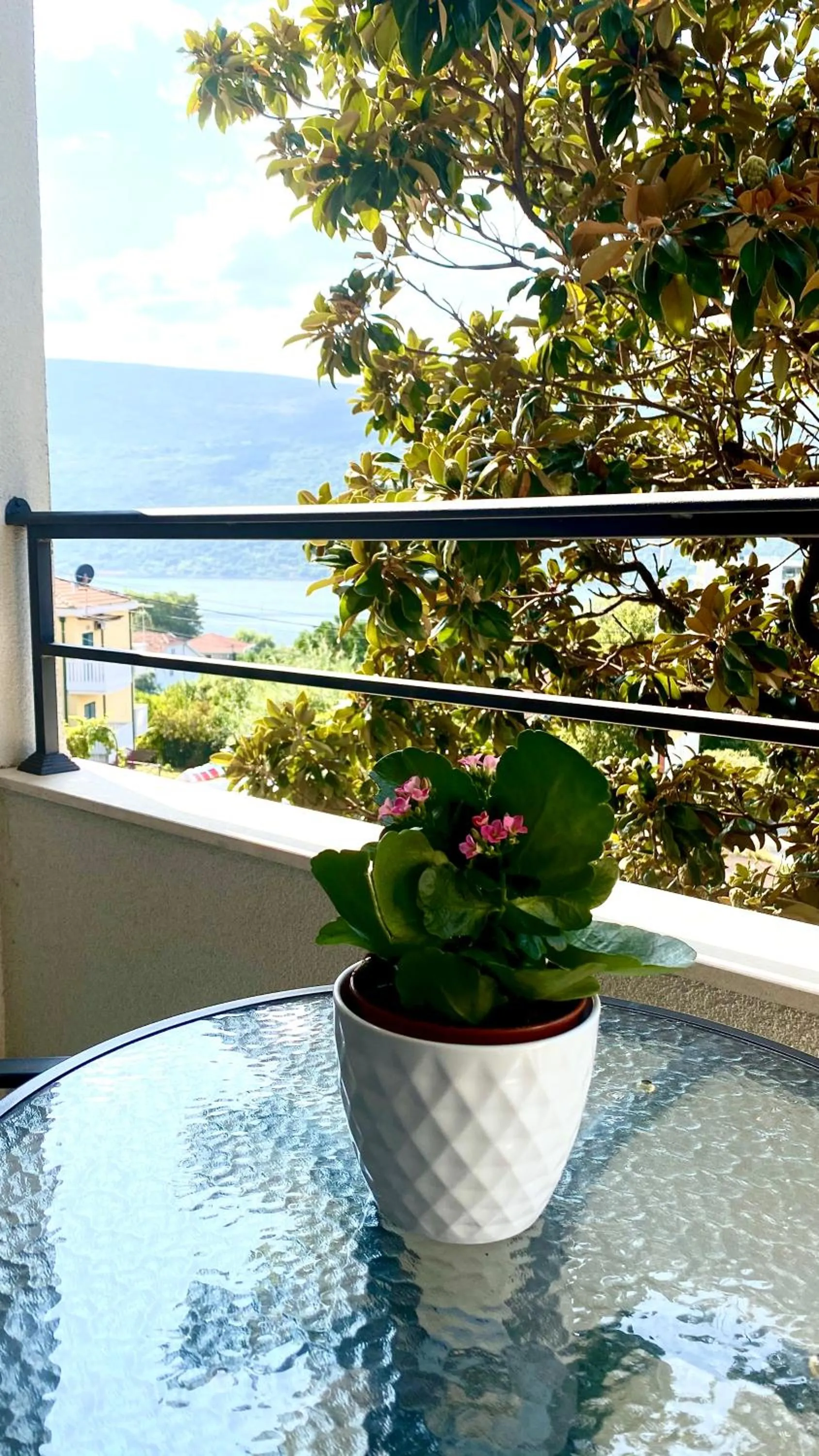 View (from property/room) in Hotel Olimpija plus