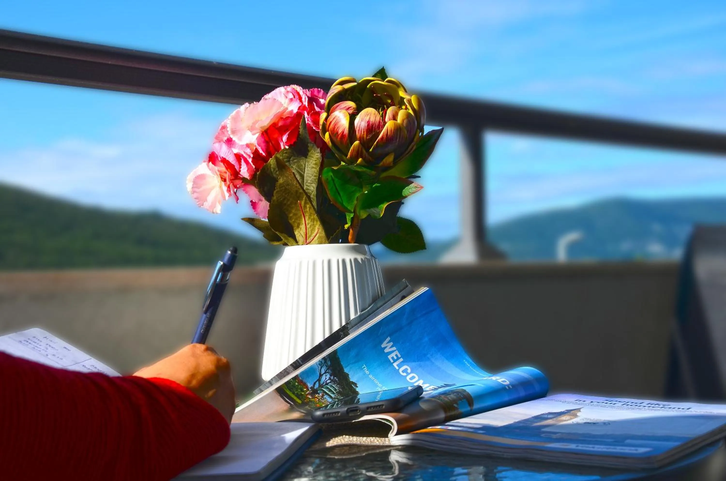 Patio in Hotel Olimpija plus