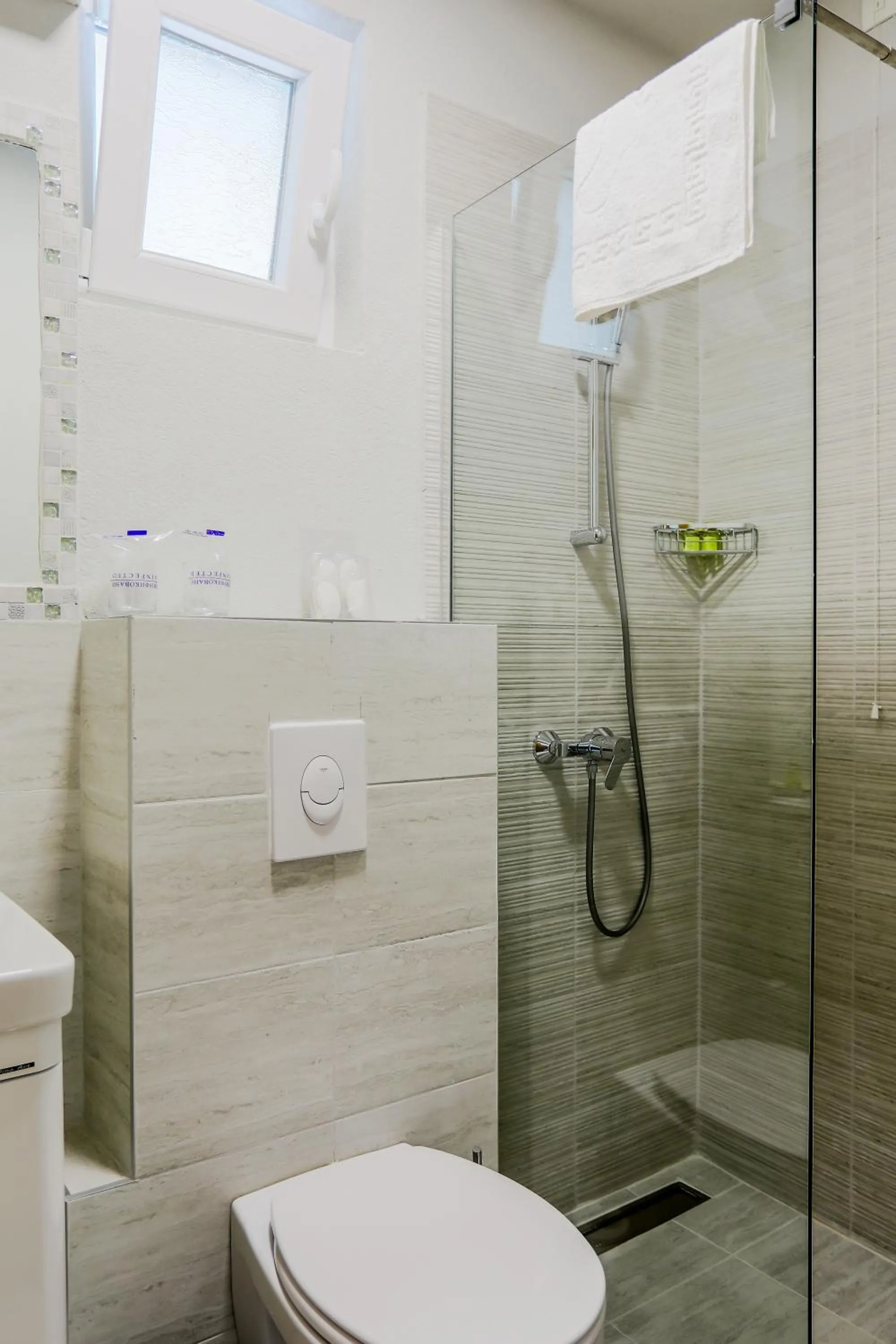 Shower in Hotel Olimpija plus