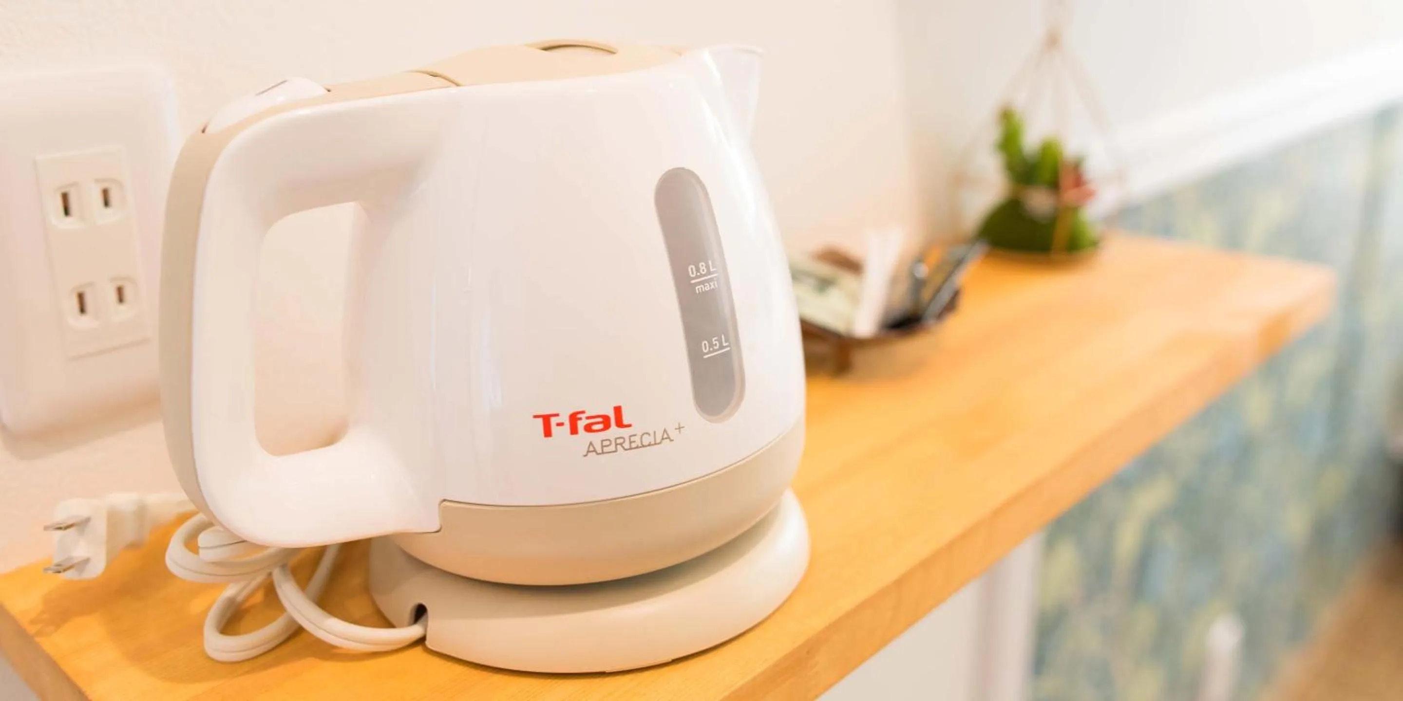 Area and facilities in Kyo-Anthu Inn