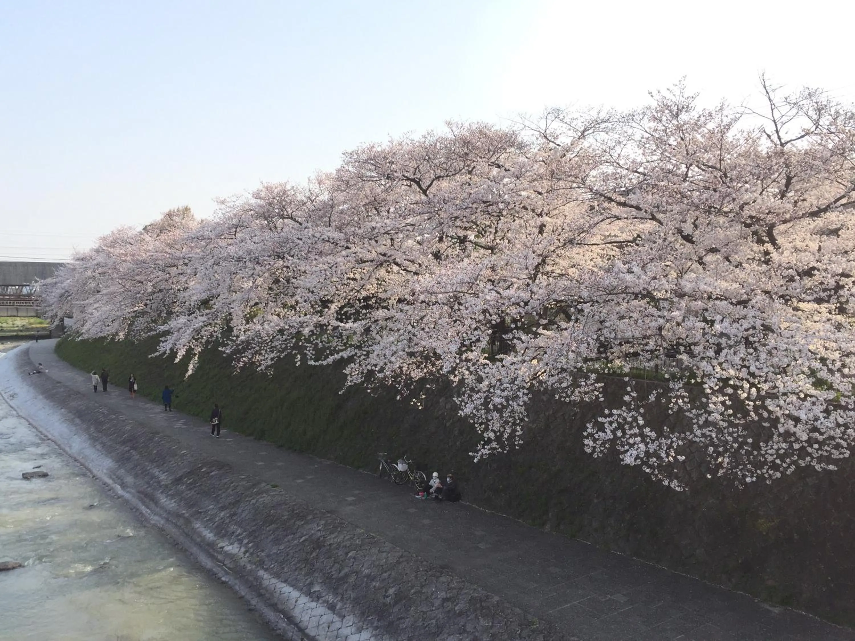 Natural landscape in Kyo-Anthu Inn