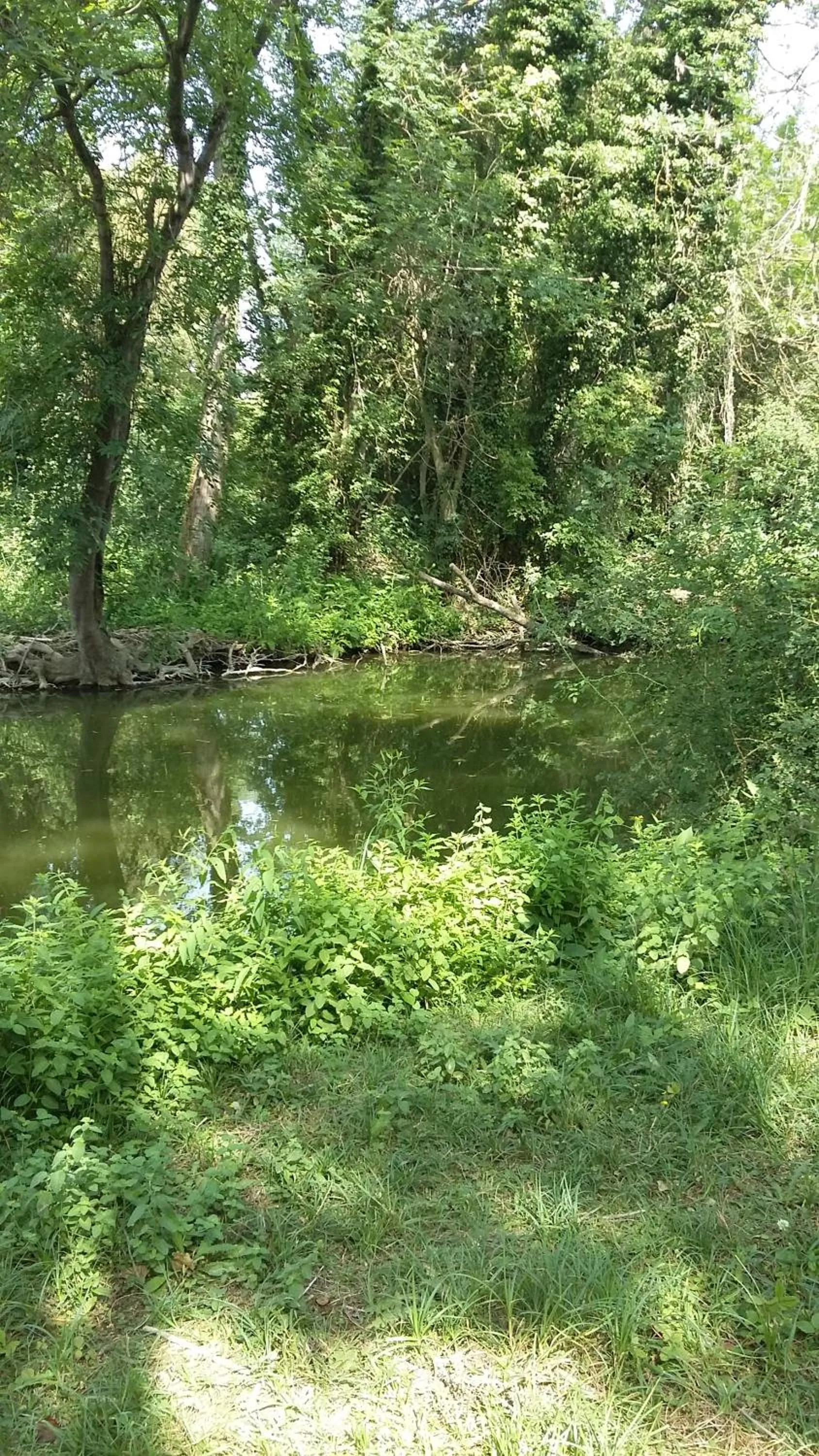 Natural landscape in Le Paradis