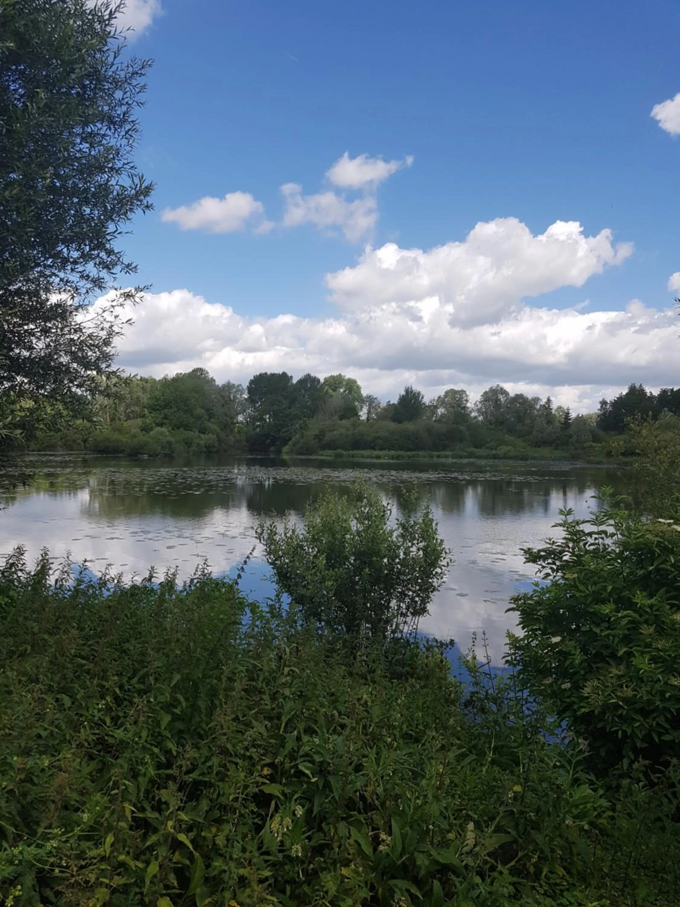 Lake view in Le Paradis