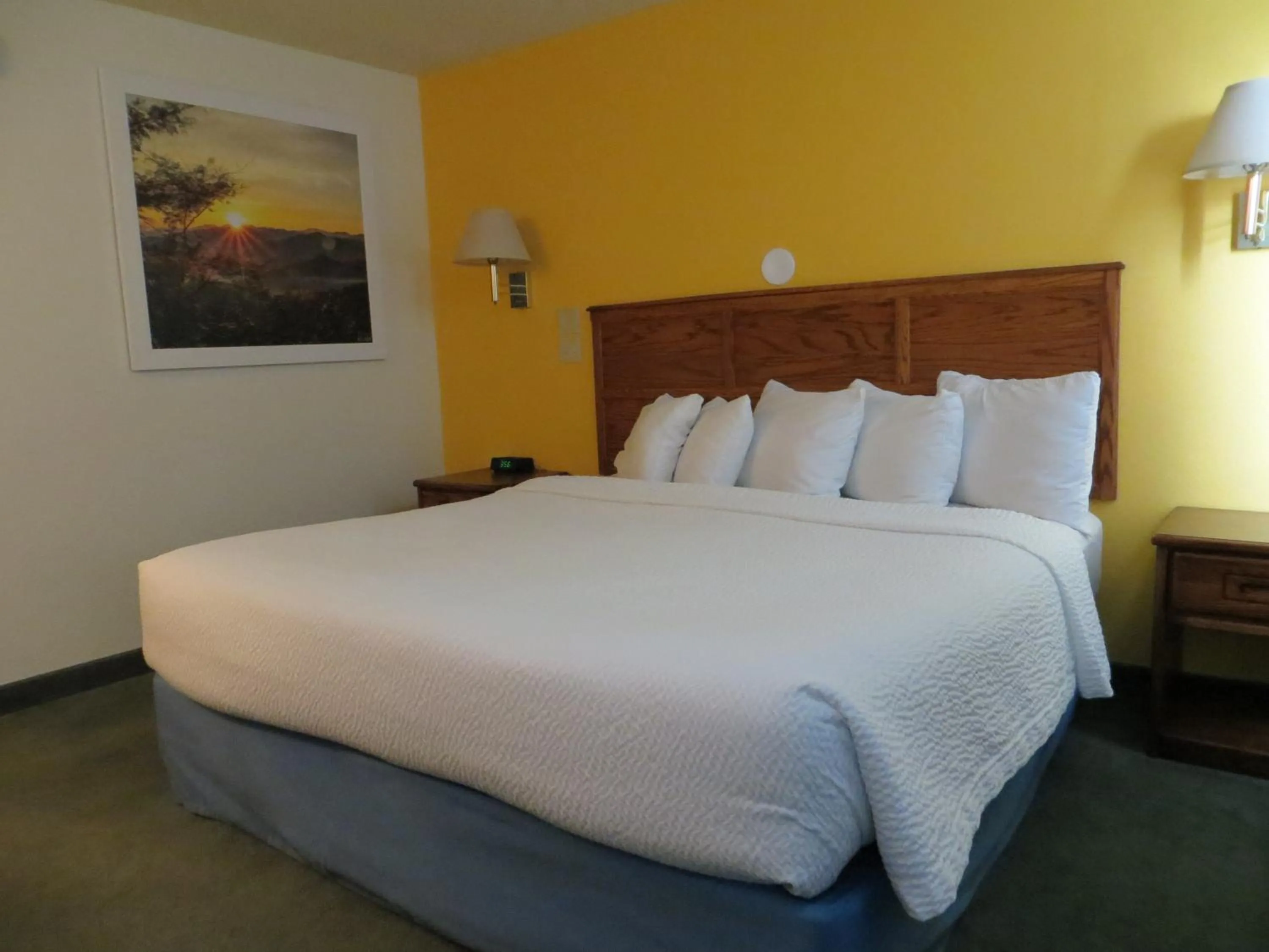 Bed in Days Inn by Wyndham Alamosa