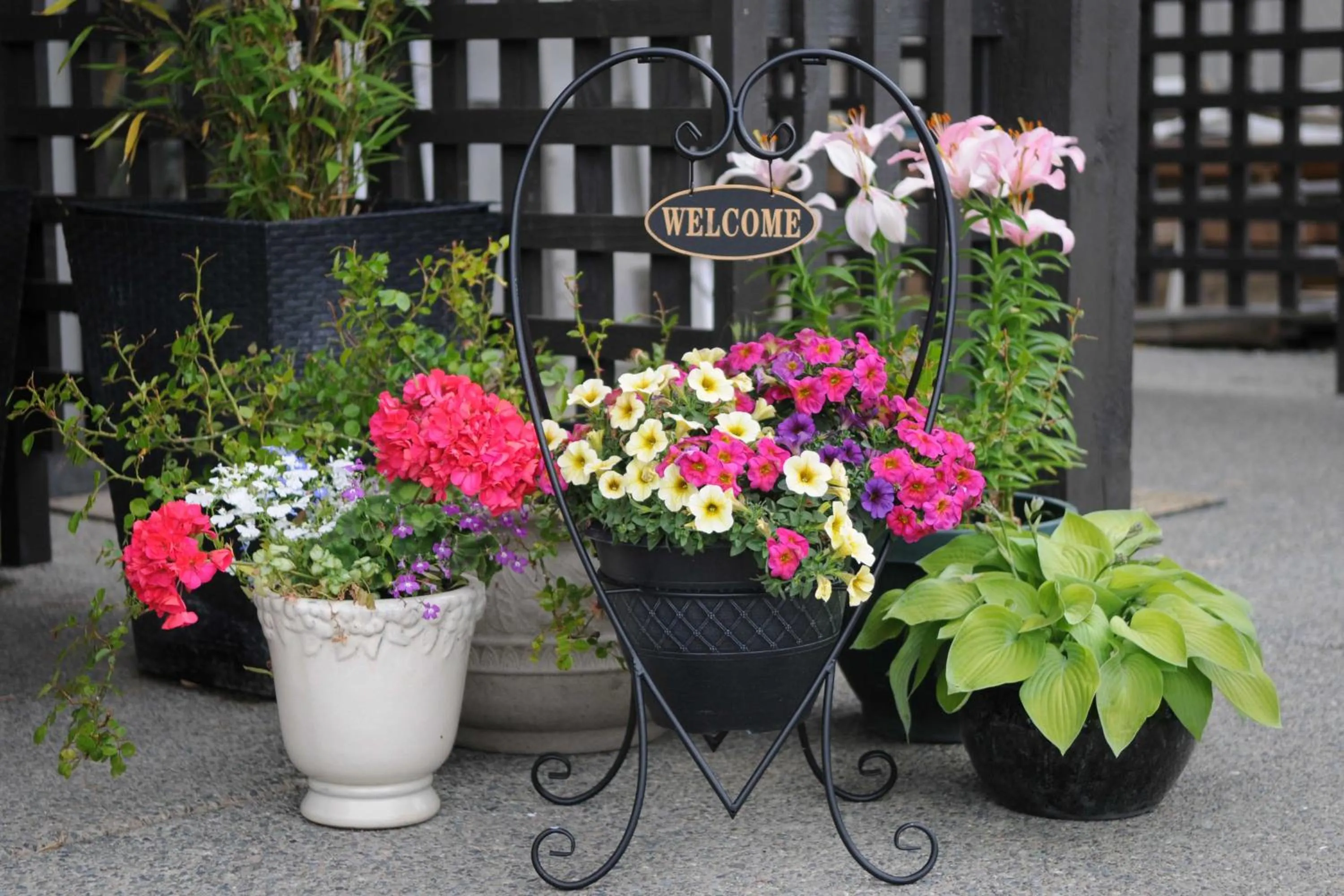 Patio in Valley View