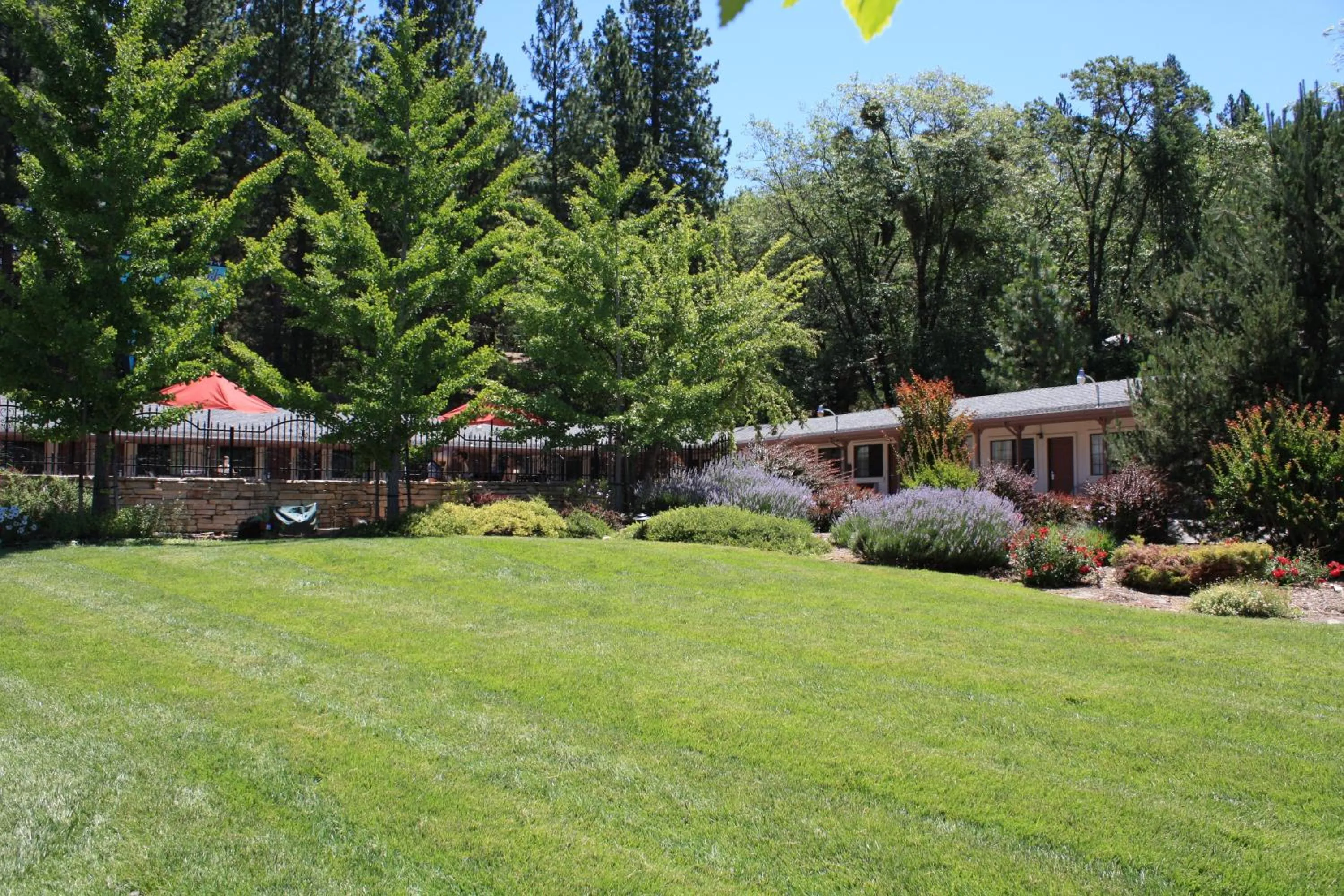 Property building in Mother Lode Motel
