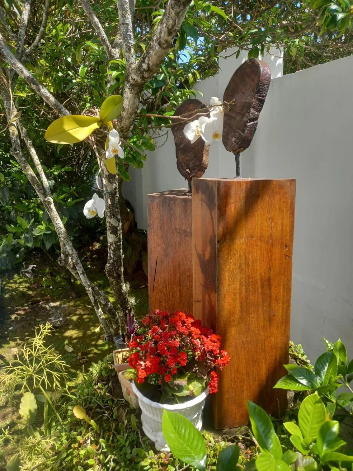 Property building in A Primeira Vista