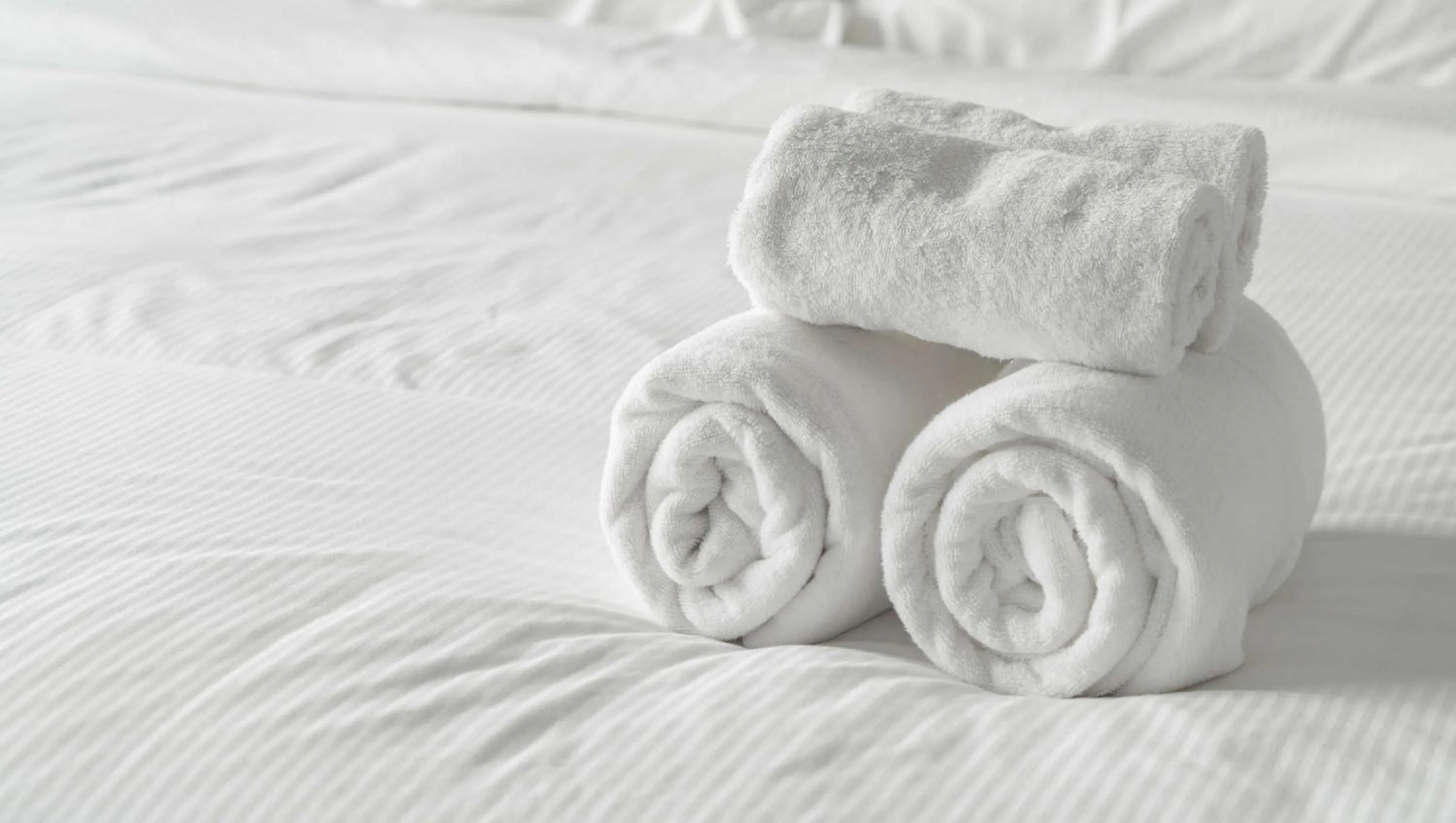 Photo of the whole room, Bed in Relax Inn Bloomsburg