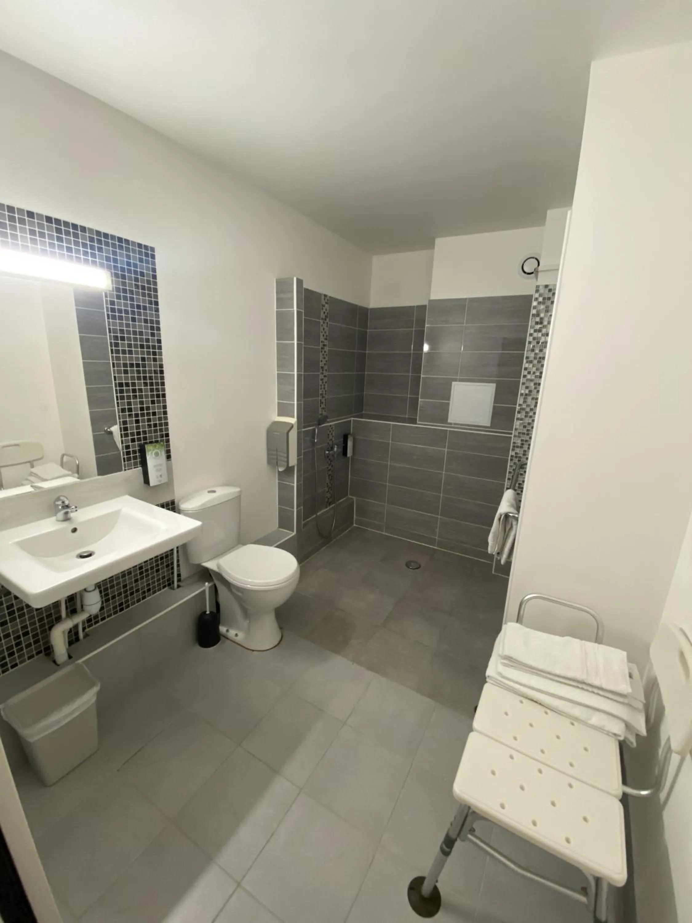 Facility for disabled guests in Kyriad Saint Fargeau Ponthierry - Apollonia