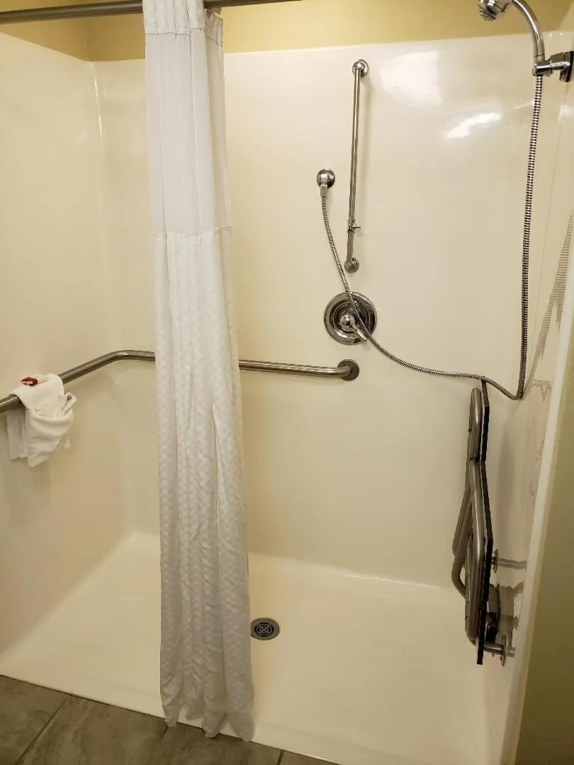 Bathroom in Microtel Inn & Suites by Wyndham Starkville