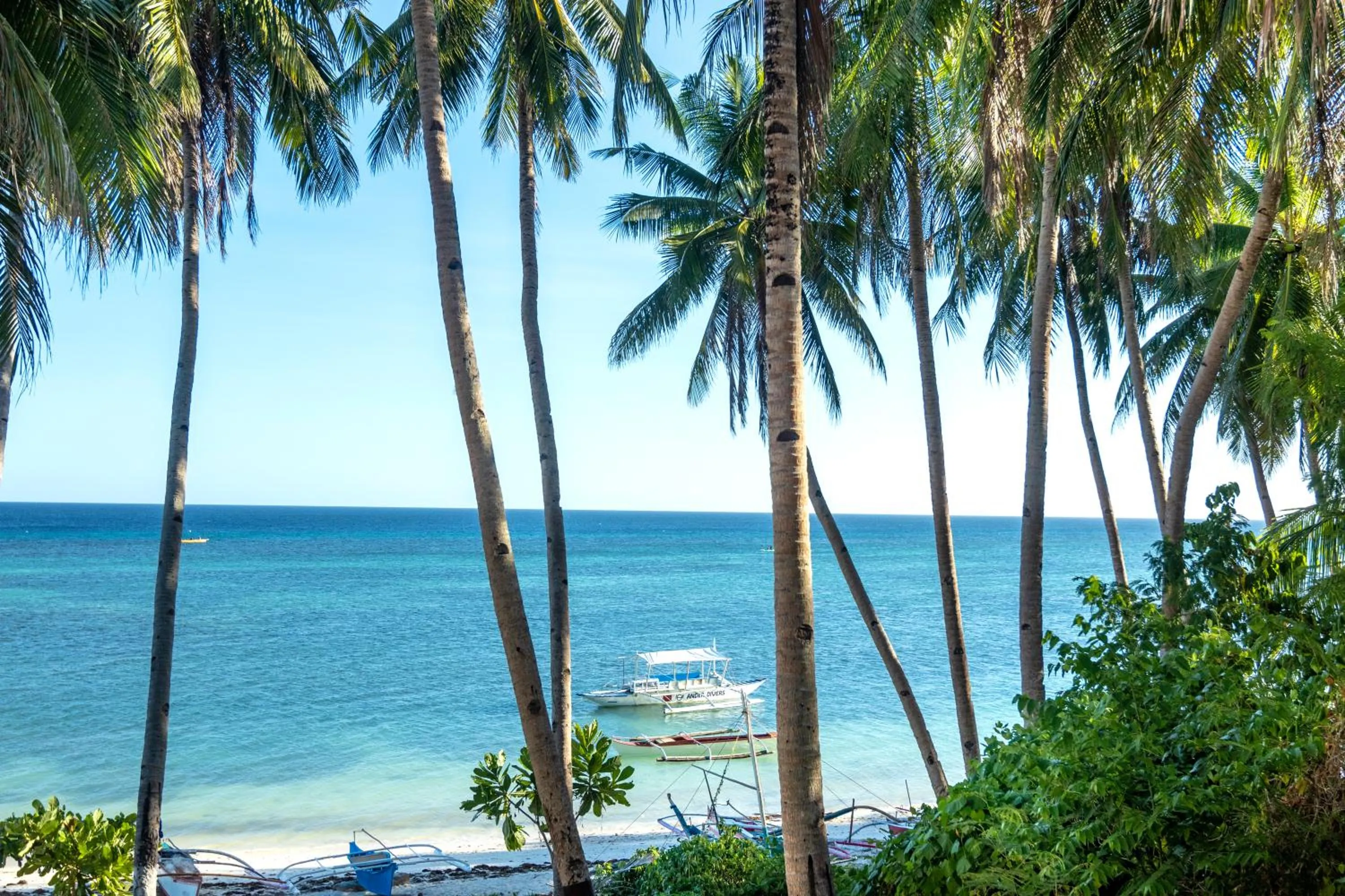 Three Little Birds Resort