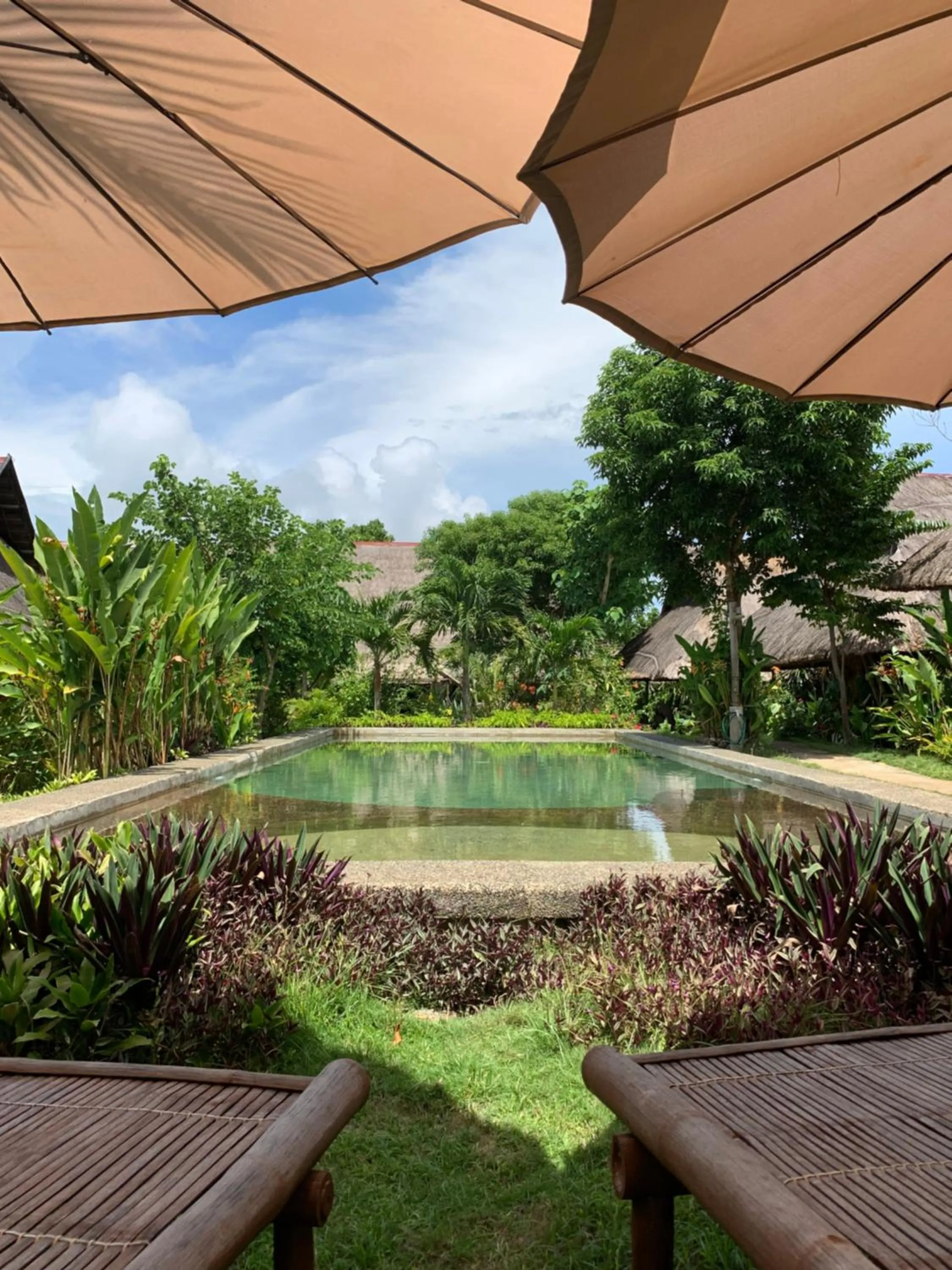 Three Little Birds Resort