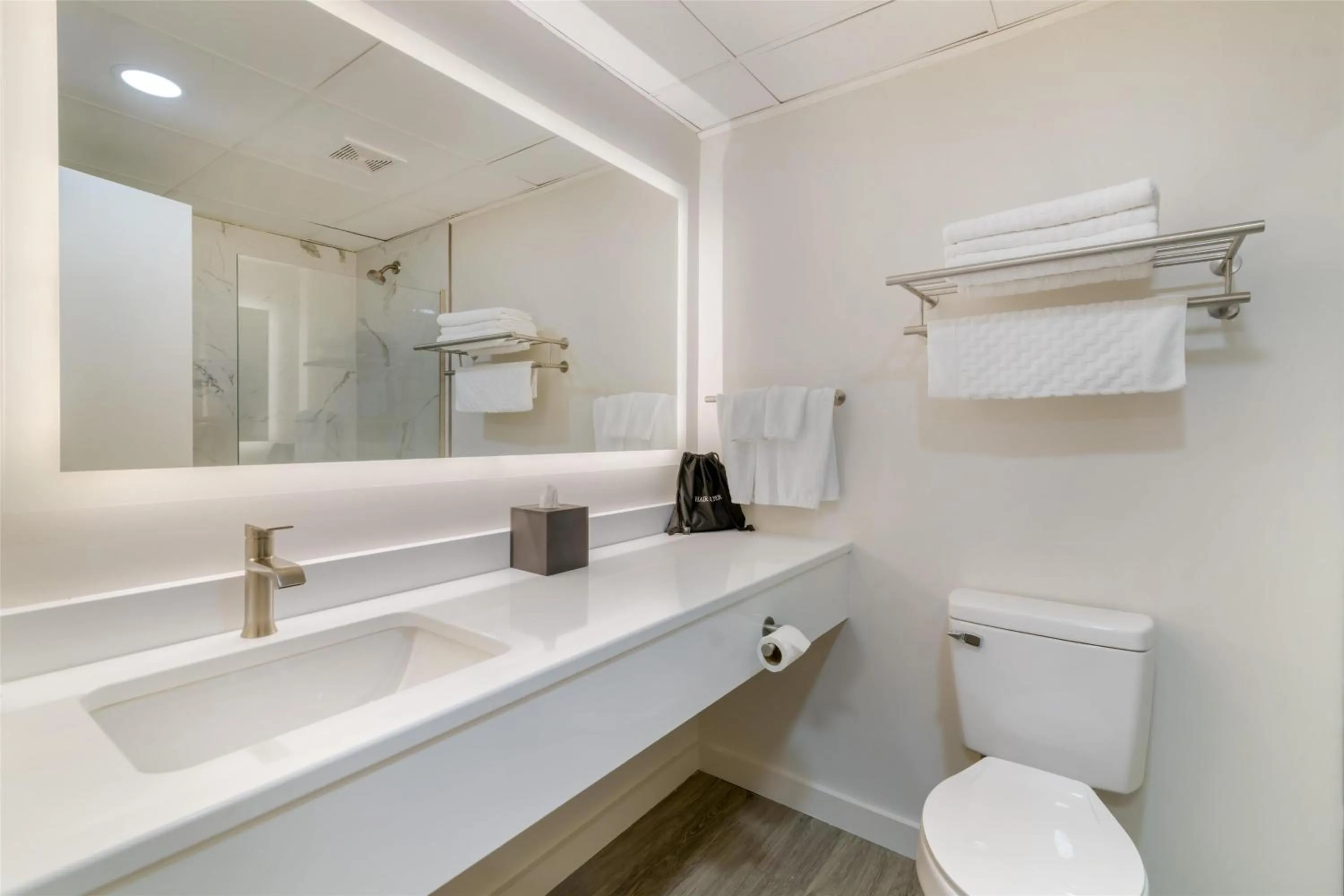 Bathroom in Best Western Caribou Inn