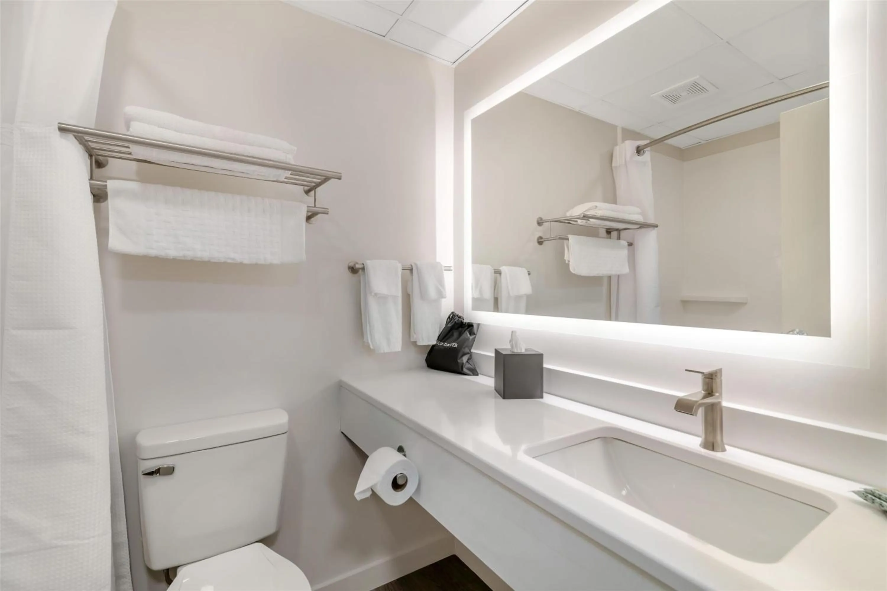 Bathroom in Best Western Caribou Inn