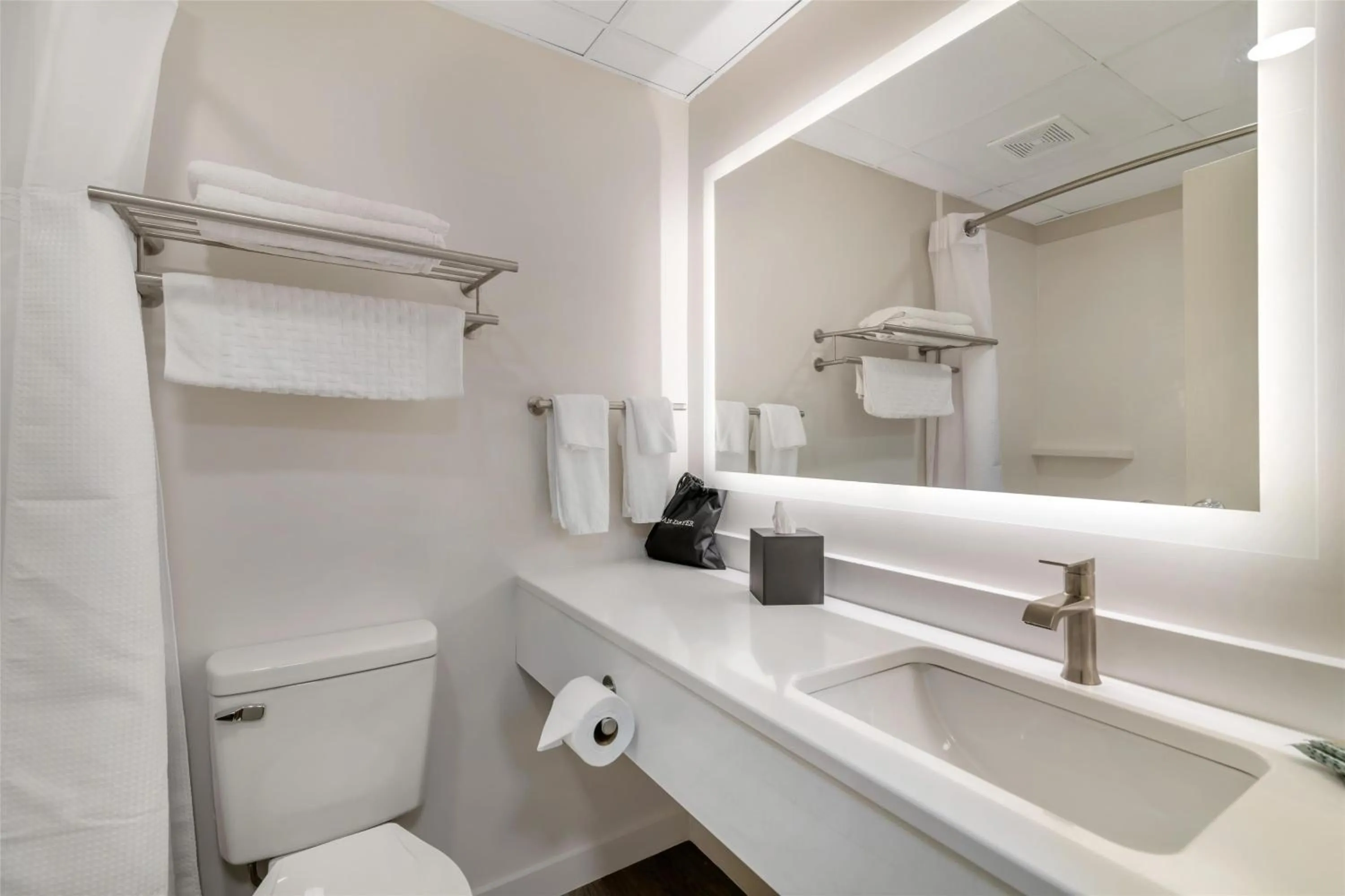 Bathroom in Best Western Caribou Inn