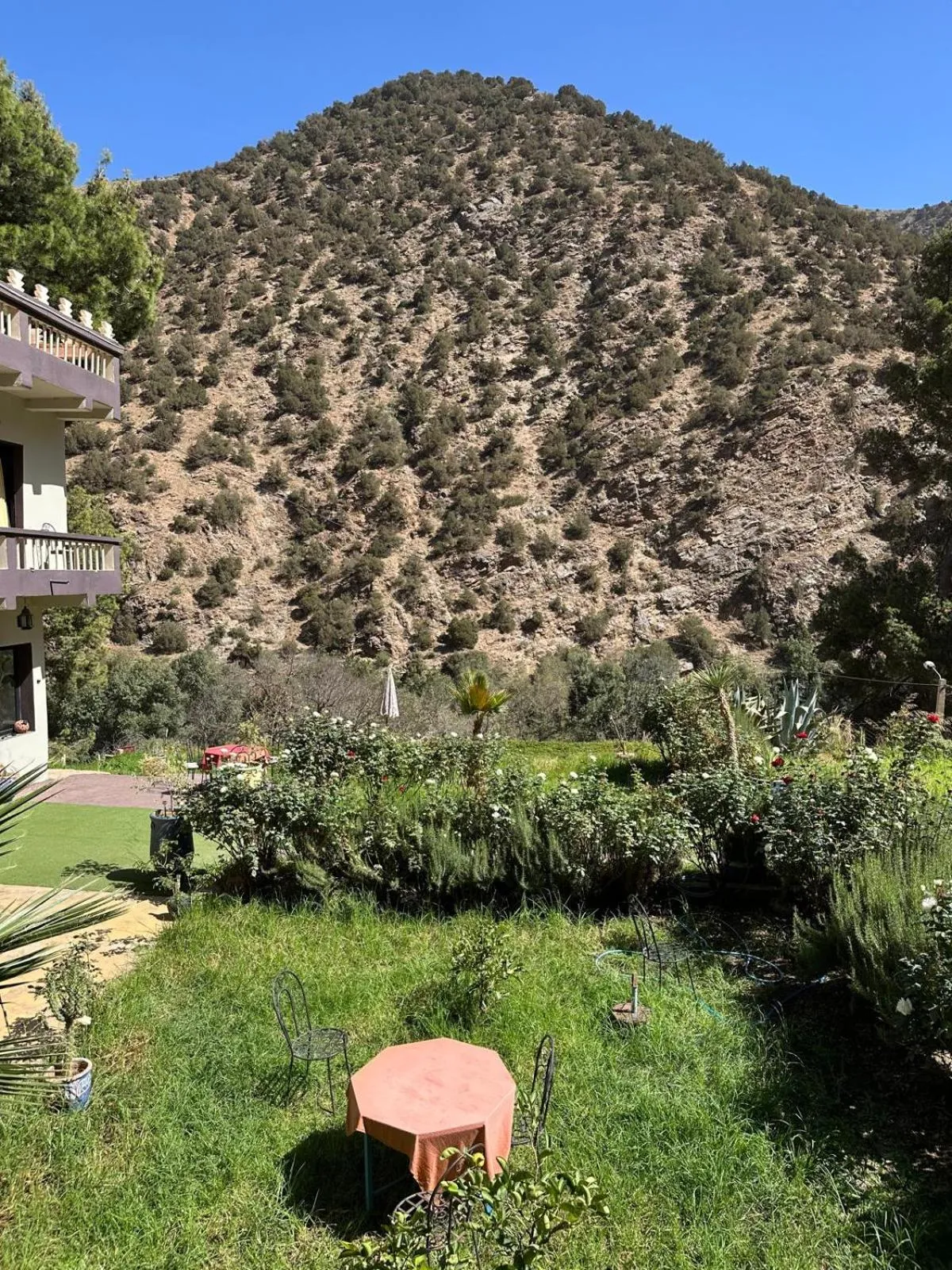 Garden in Ourika Atlas Tigmi