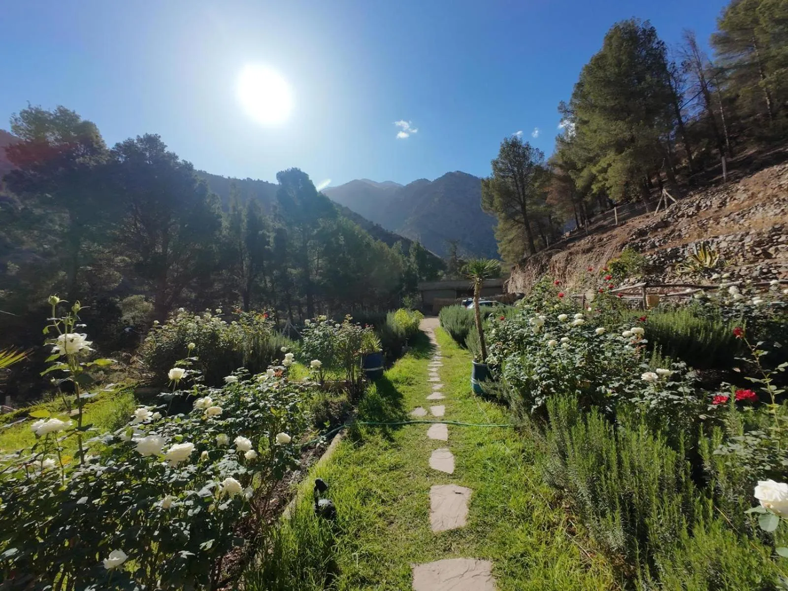 Natural landscape in Ourika Atlas Tigmi