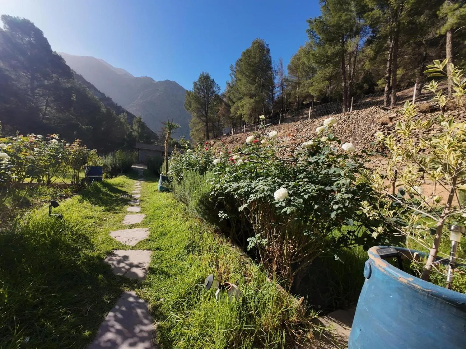 Natural landscape in Ourika Atlas Tigmi