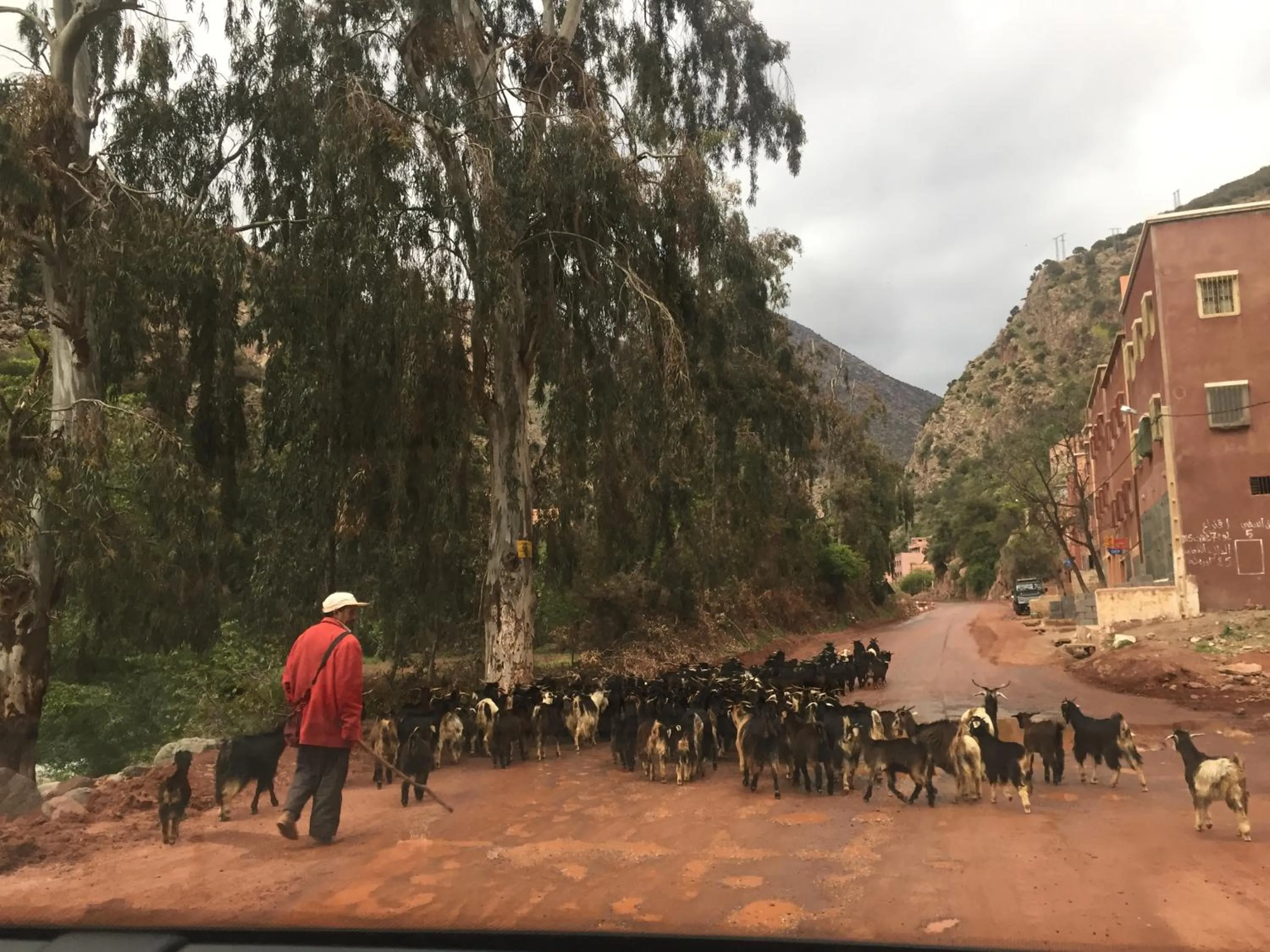 Natural landscape in Atlas Tigmi