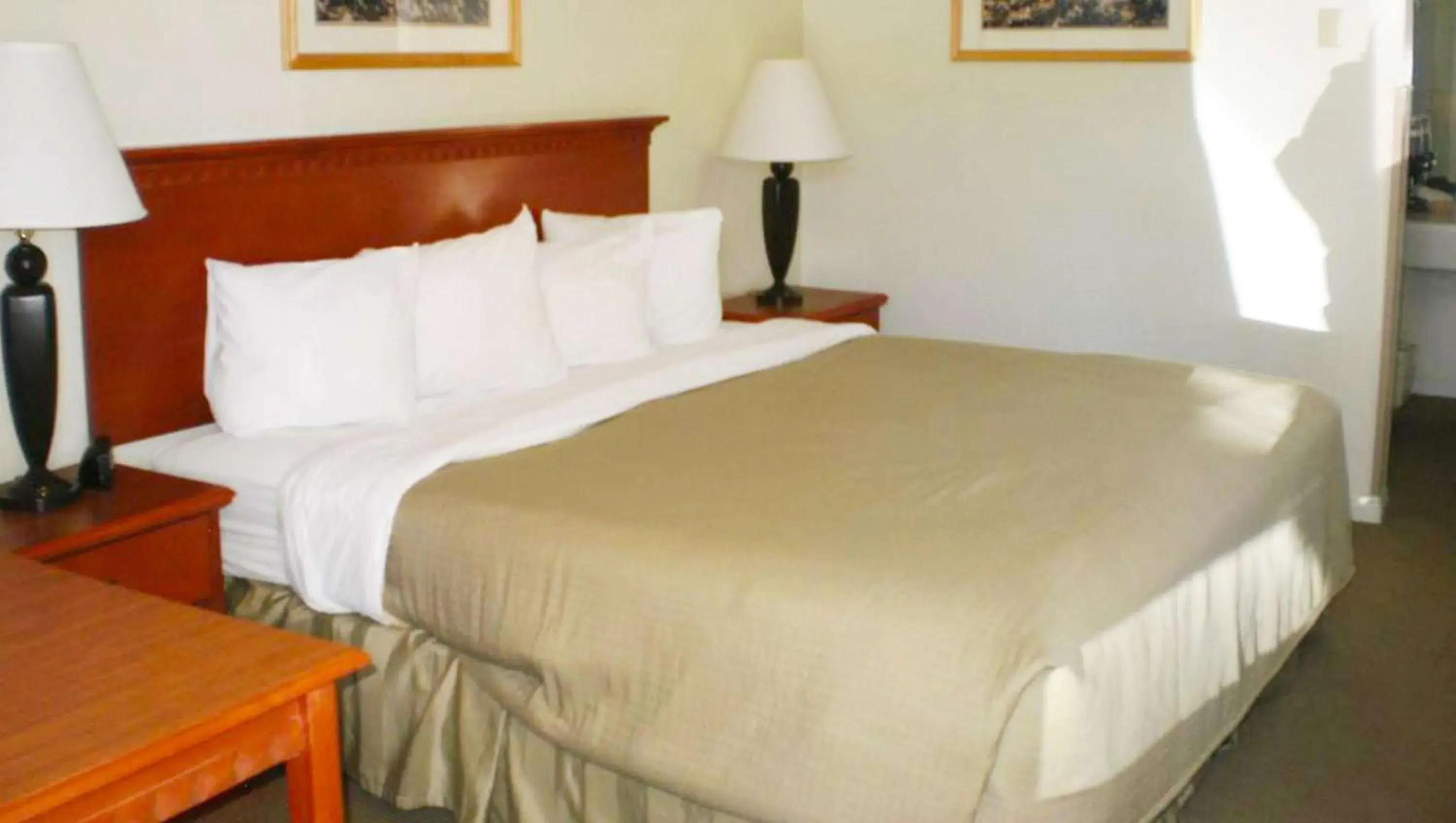 Queen Room - Non-Smoking in Magnuson Hotel Park Vue Queen Room - Non-Smoking in Magnuson Hotel Park Vue