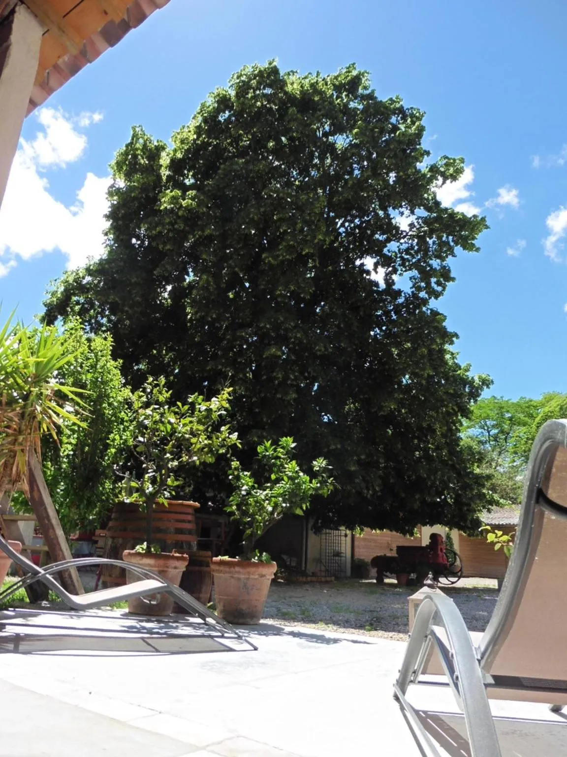 Garden in L'Albane Chambres d'hôtes
