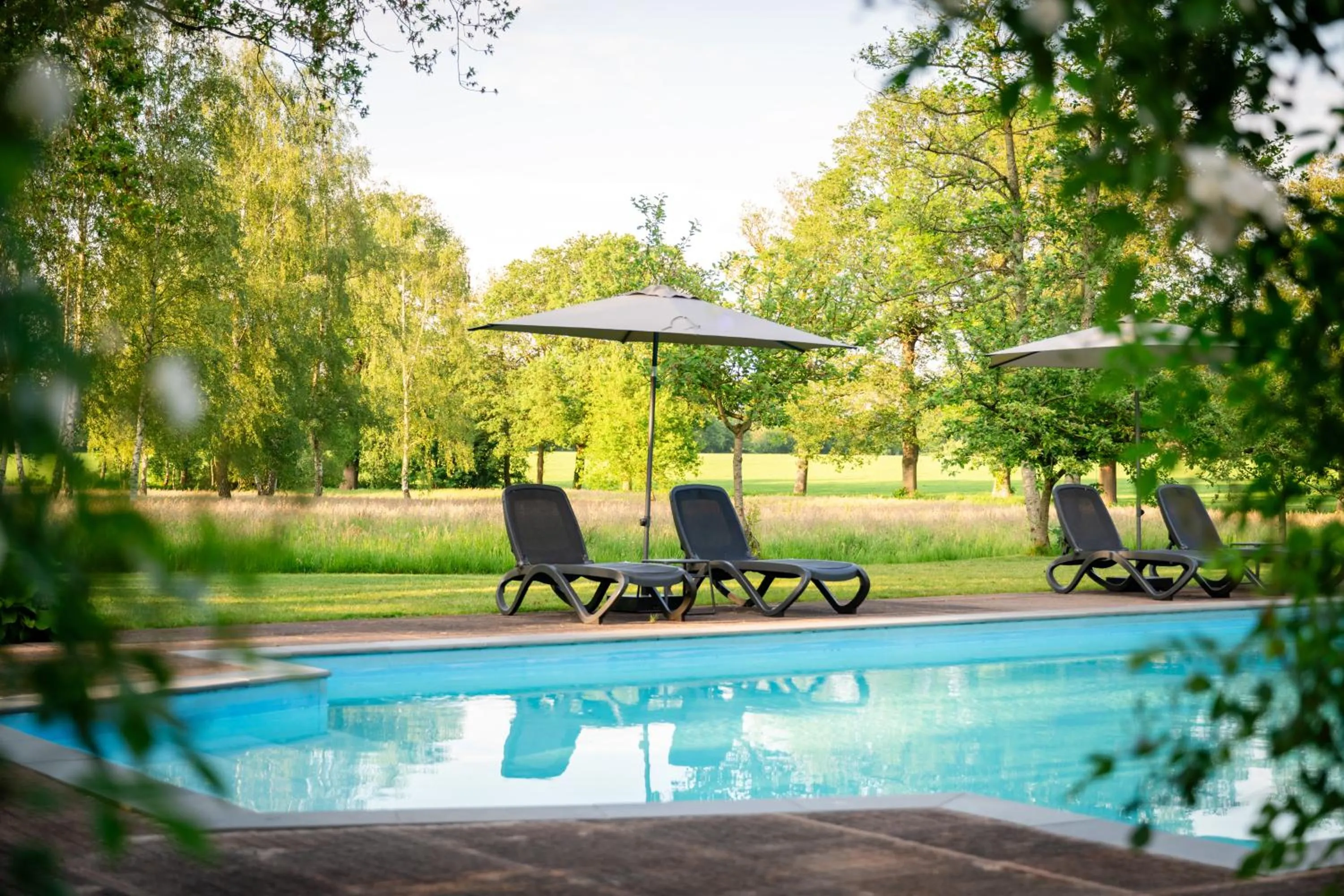 Garden in B&B Otterstee