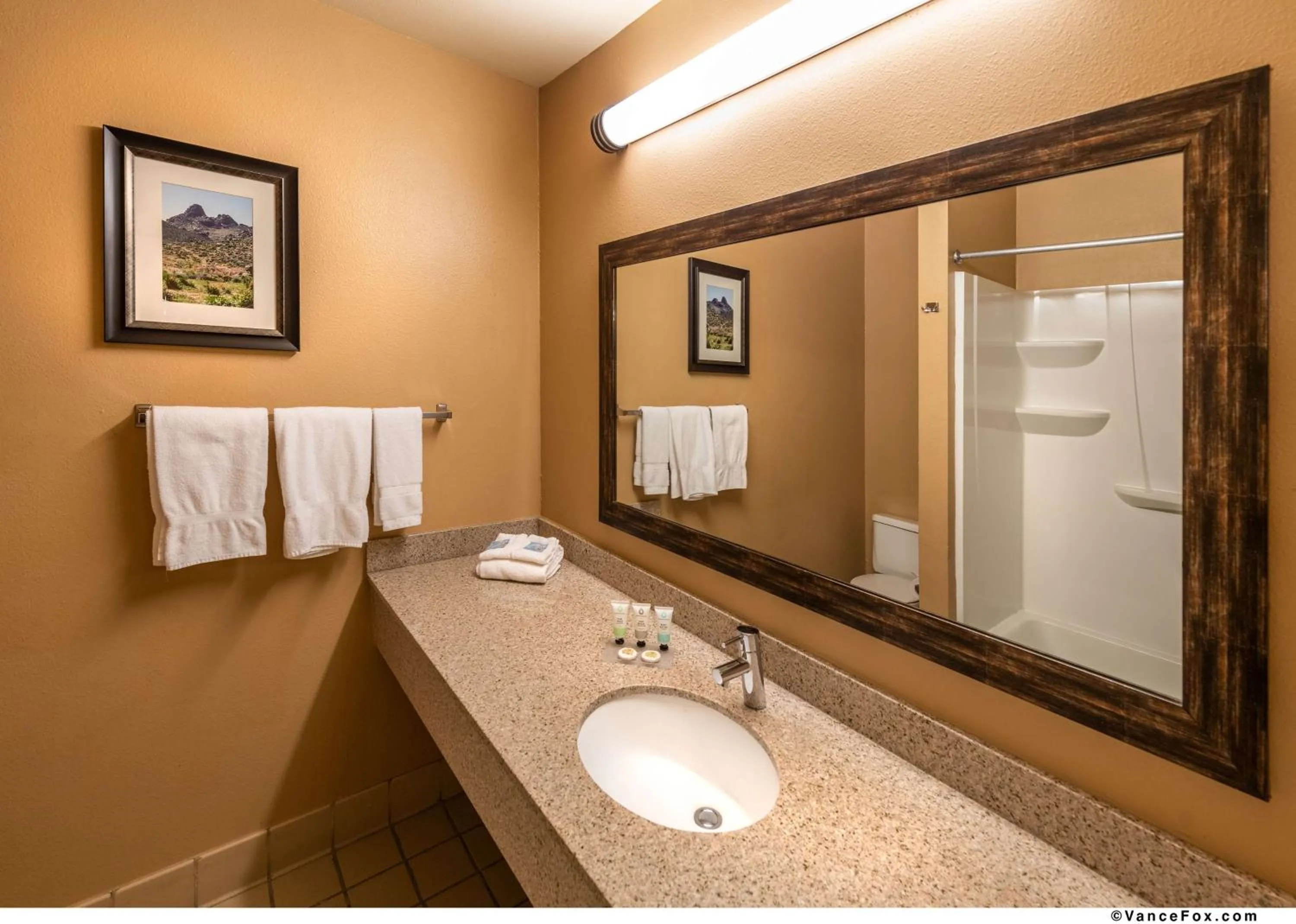 Bathroom in SureStay Hotel by Best Western Lovelock
